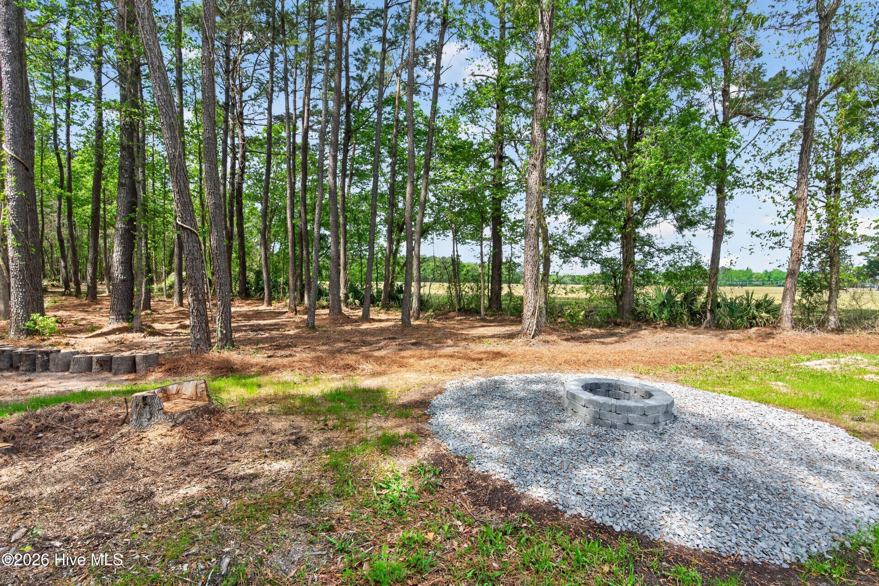 100567047 | Photo 40