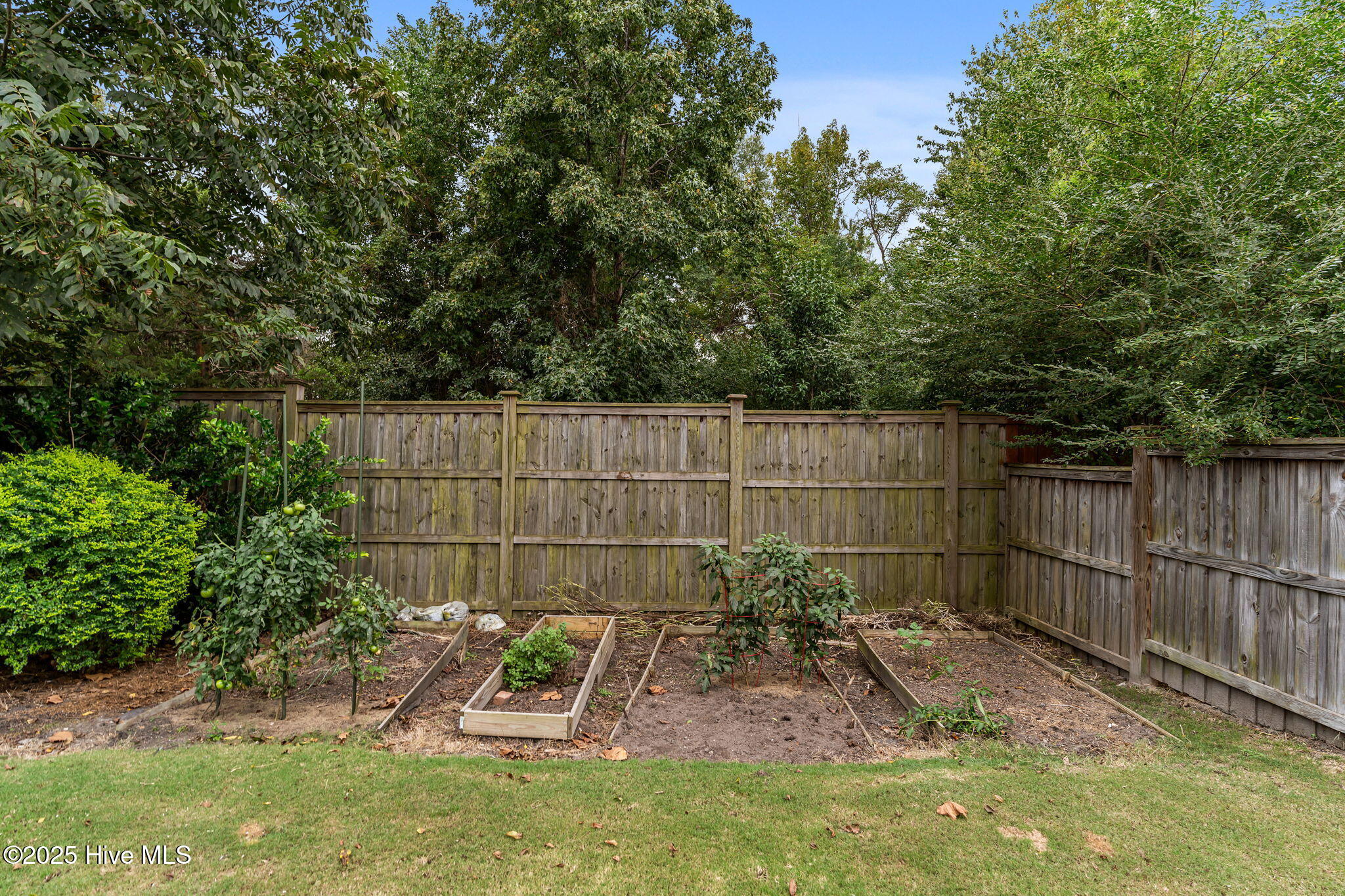 100535481 | Photo 37