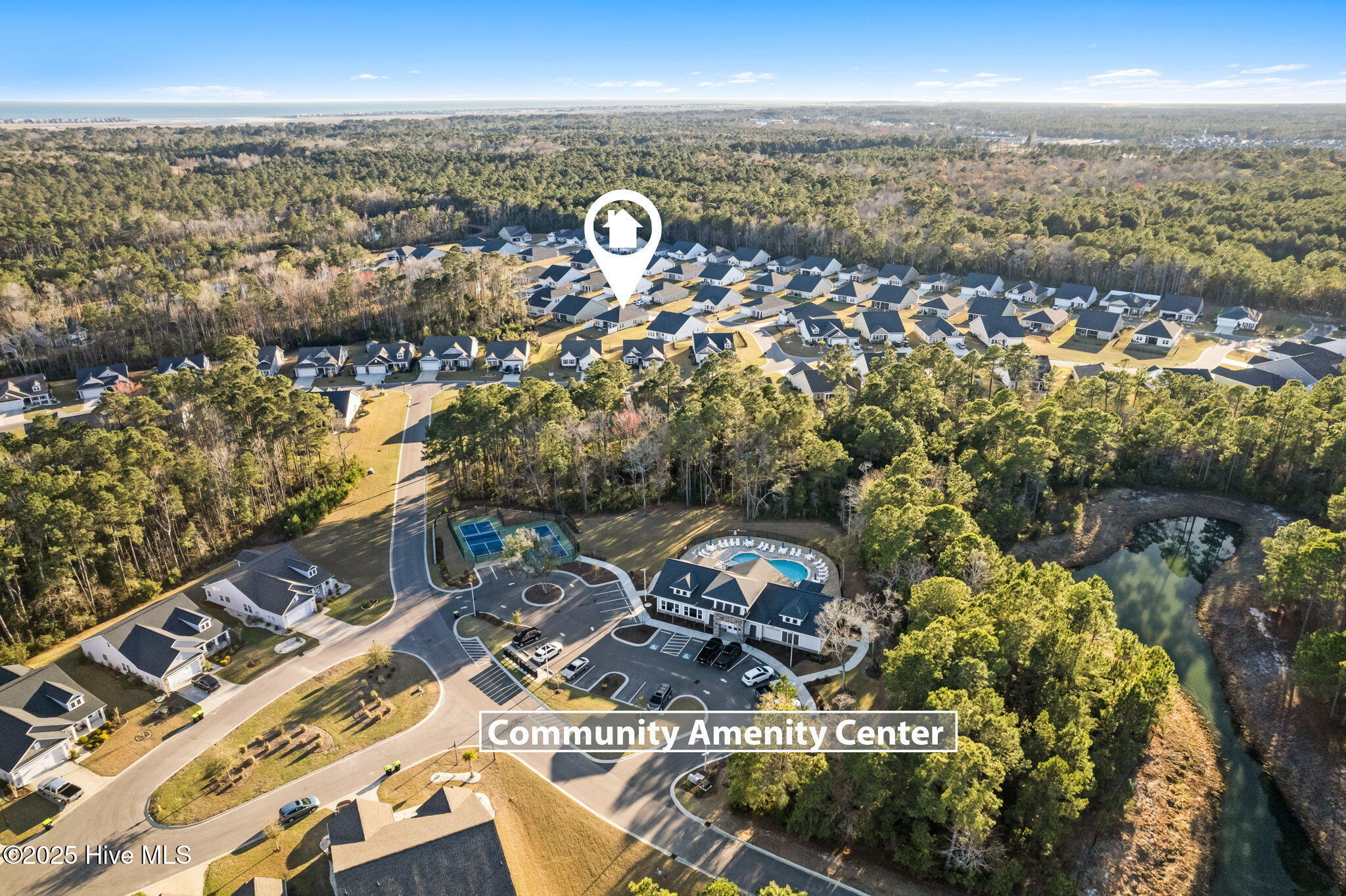 100495537 | Photo 39