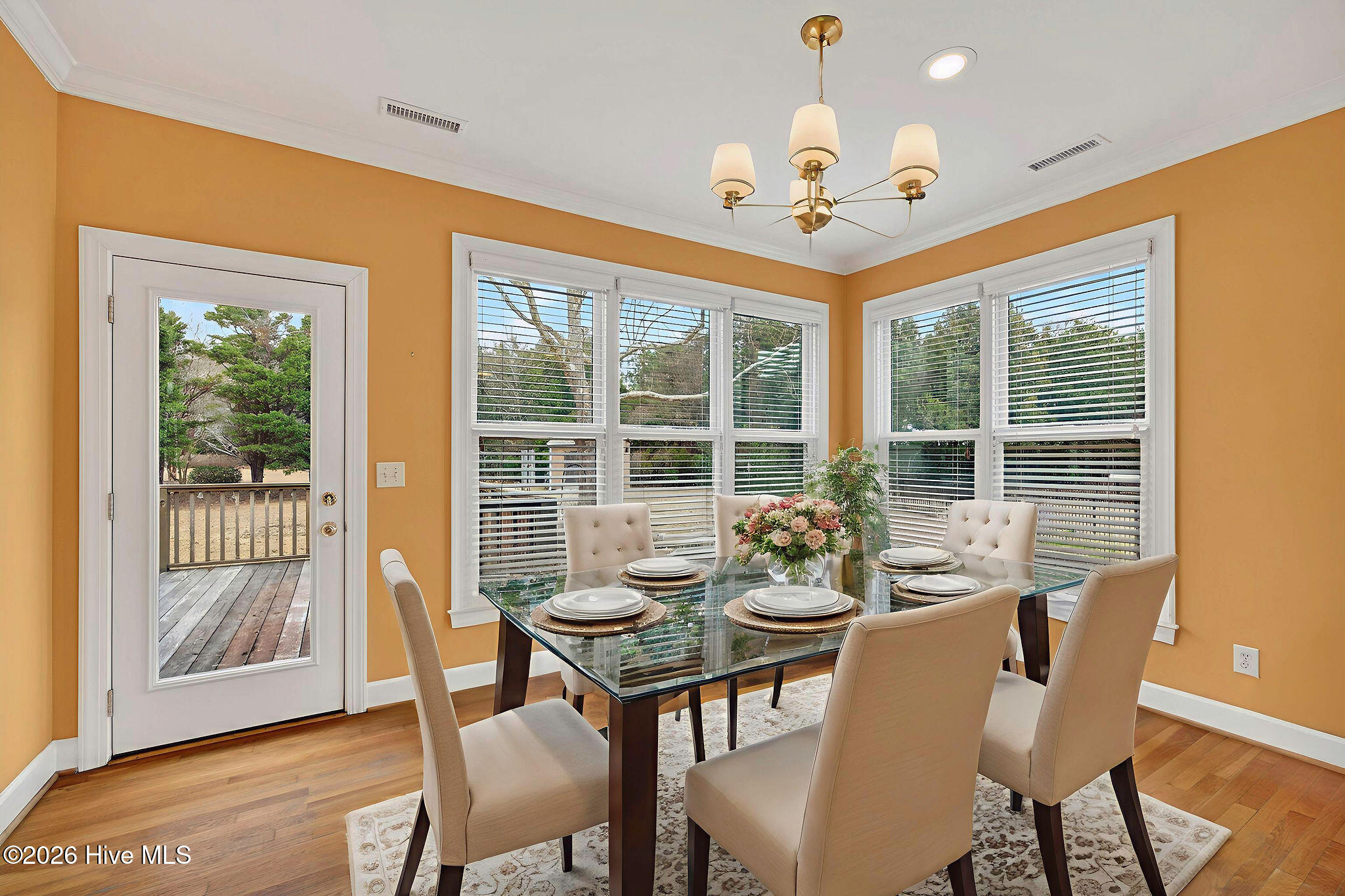 100551519 | Photo 22