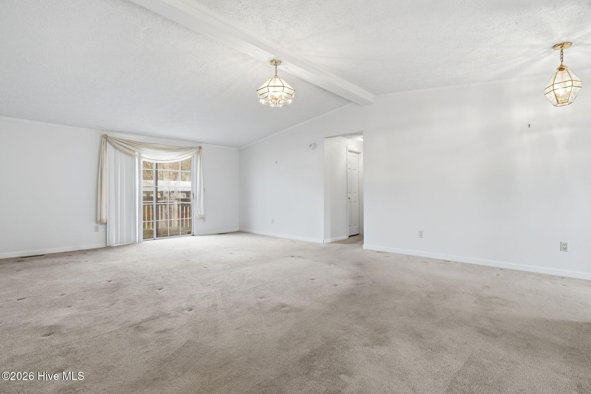 100556115 | Photo 36