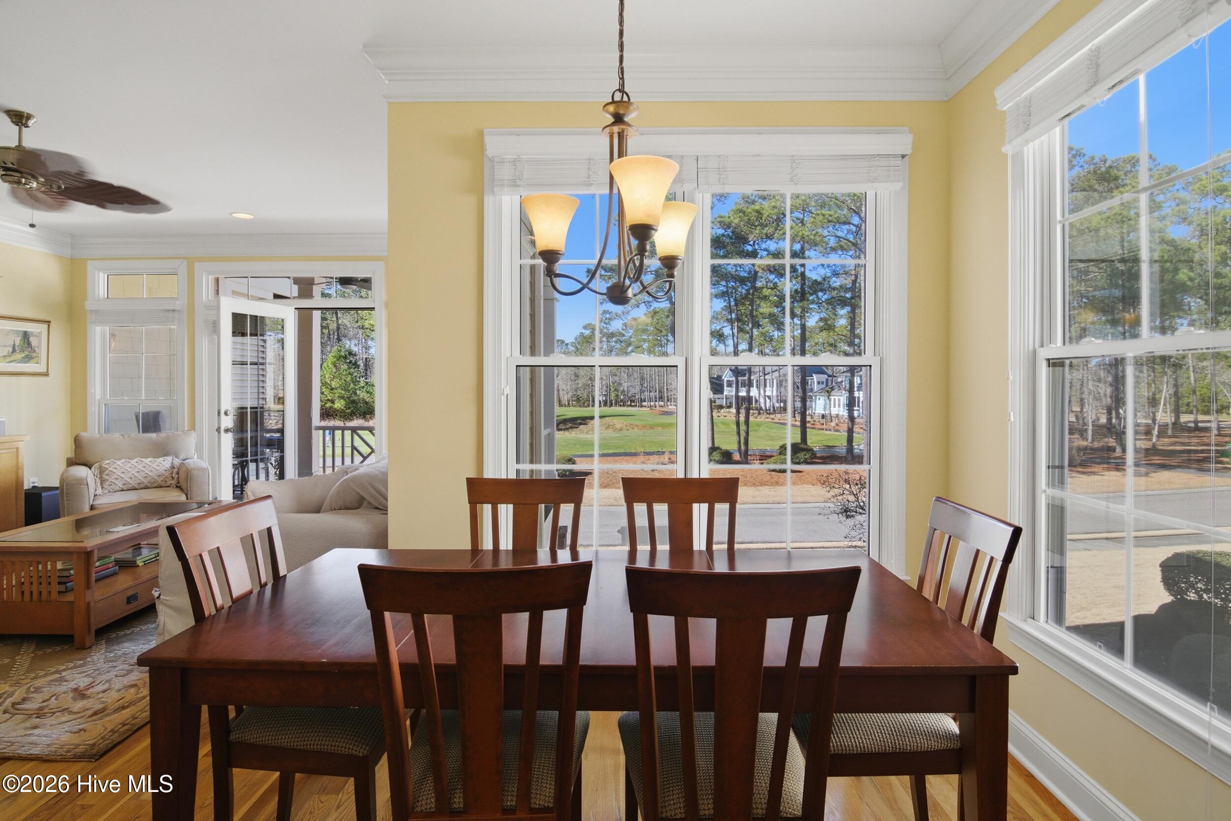 100547081 | Photo 16