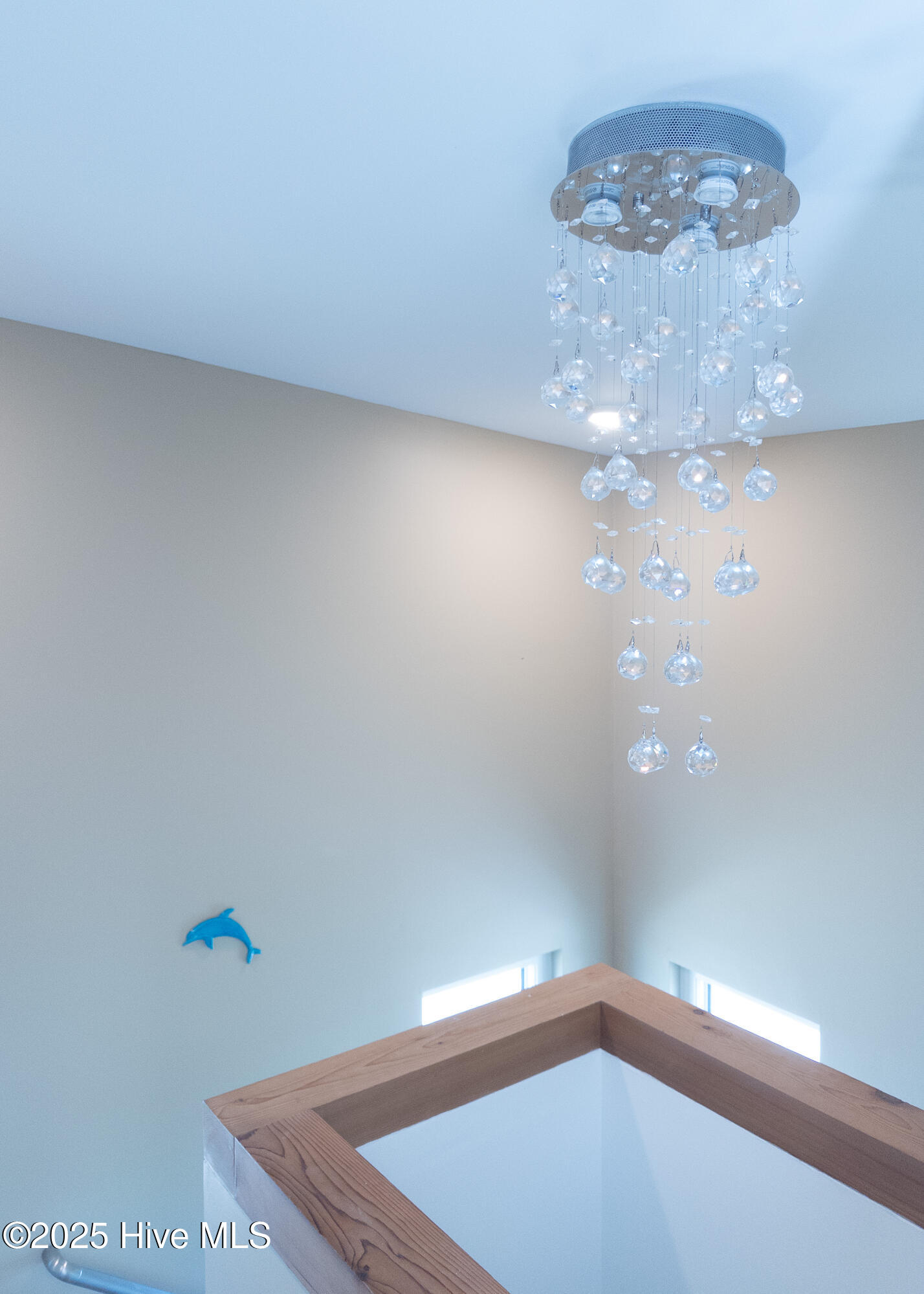 100539588 | Photo 40