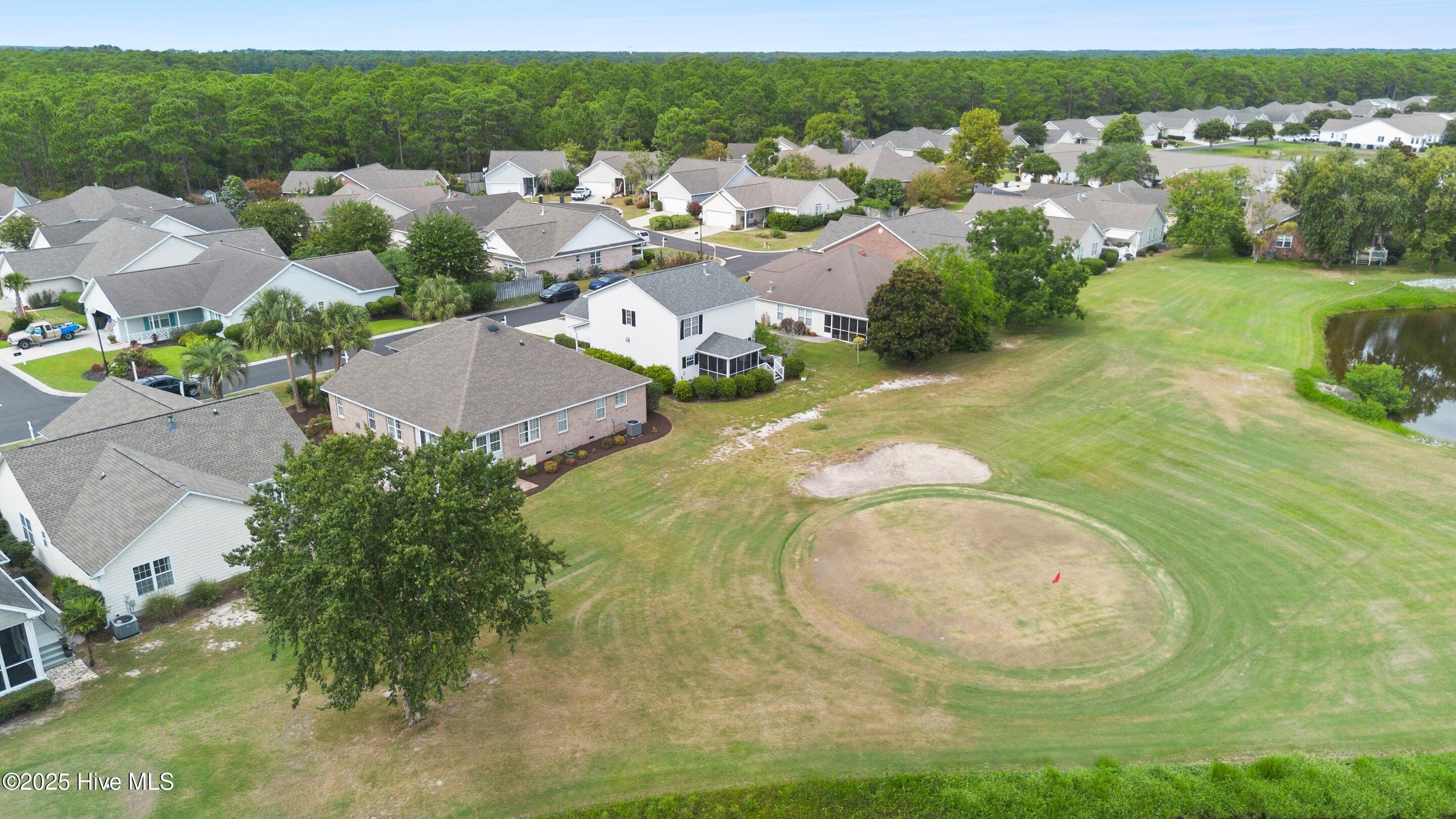 100528797 | Photo 55