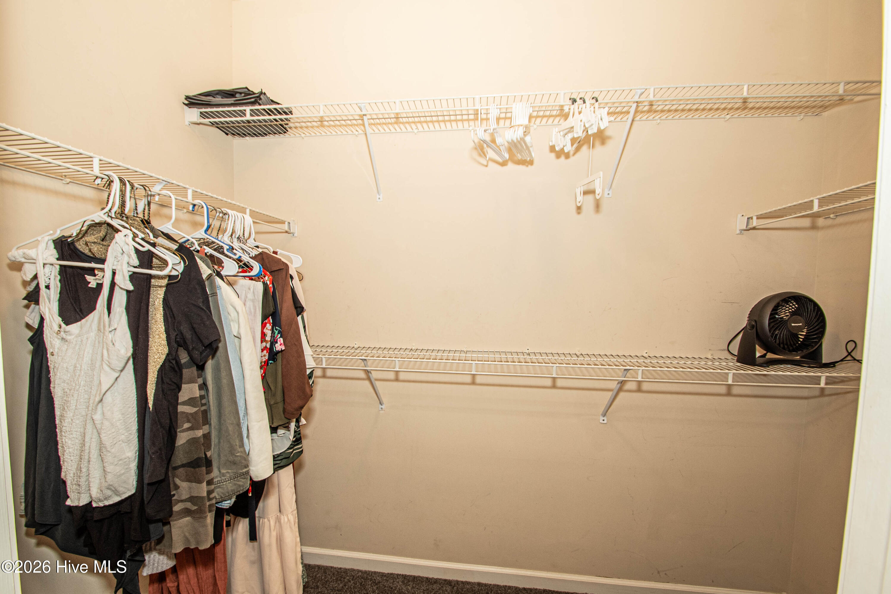 100559341 | Photo 26