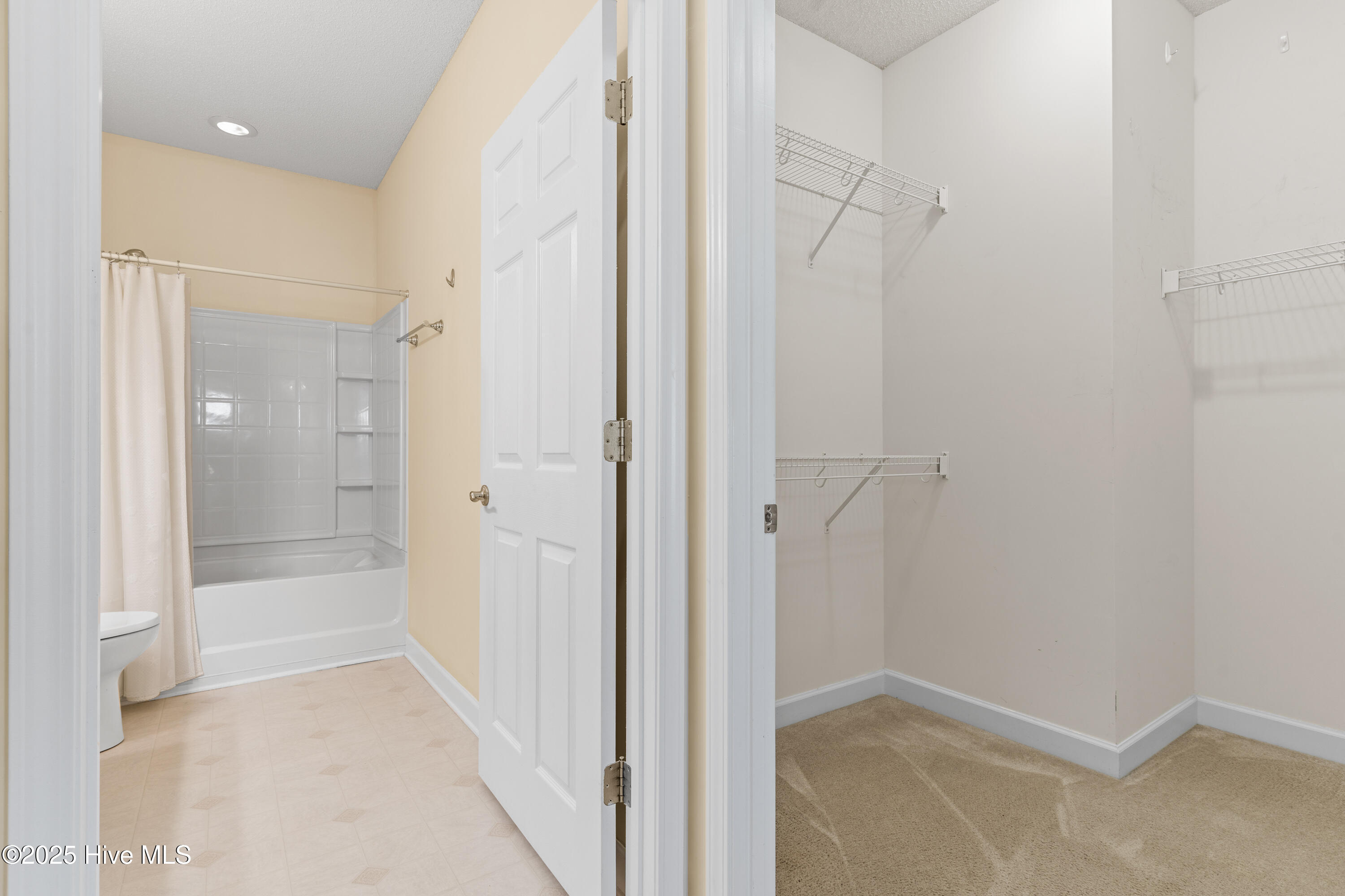 100529501 | Photo 28