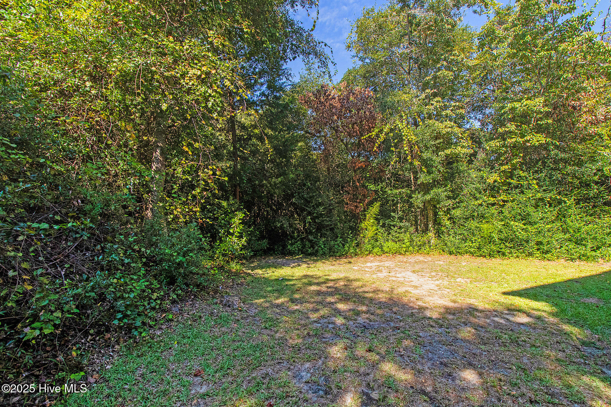 100533935 | Photo 30