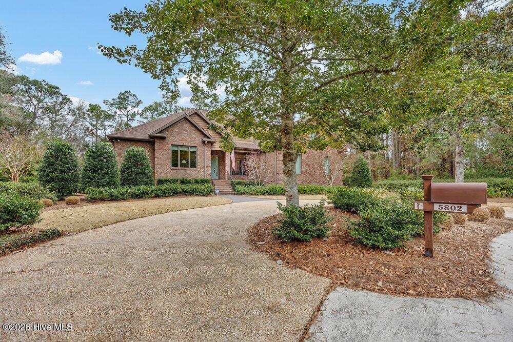 100557669 | Photo 51