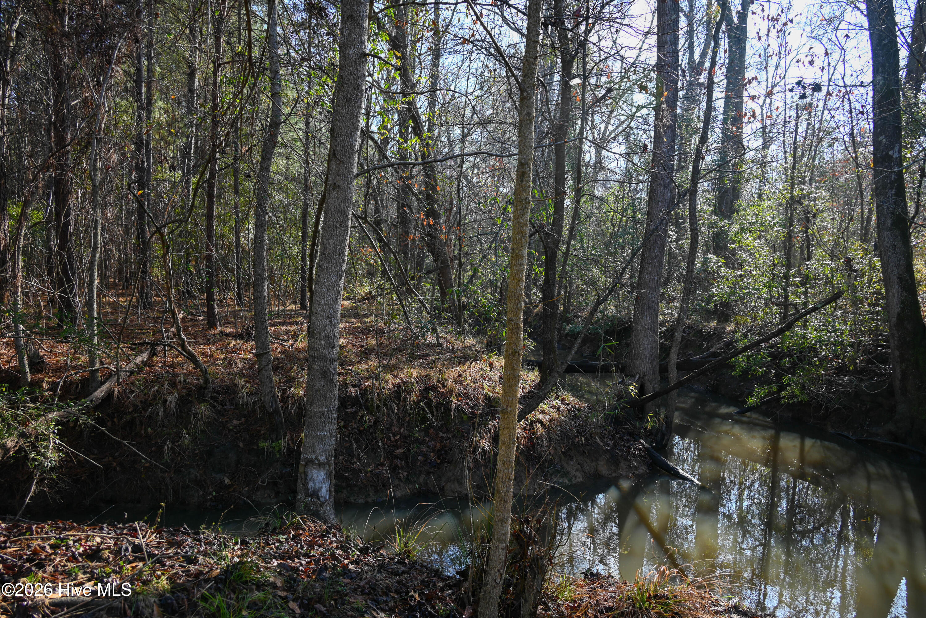 100560038 | Photo 26