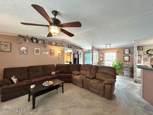 100566420 | Photo 46