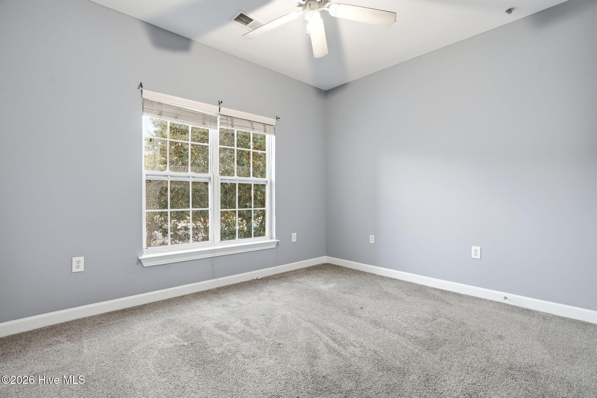 100559771 | Photo 31