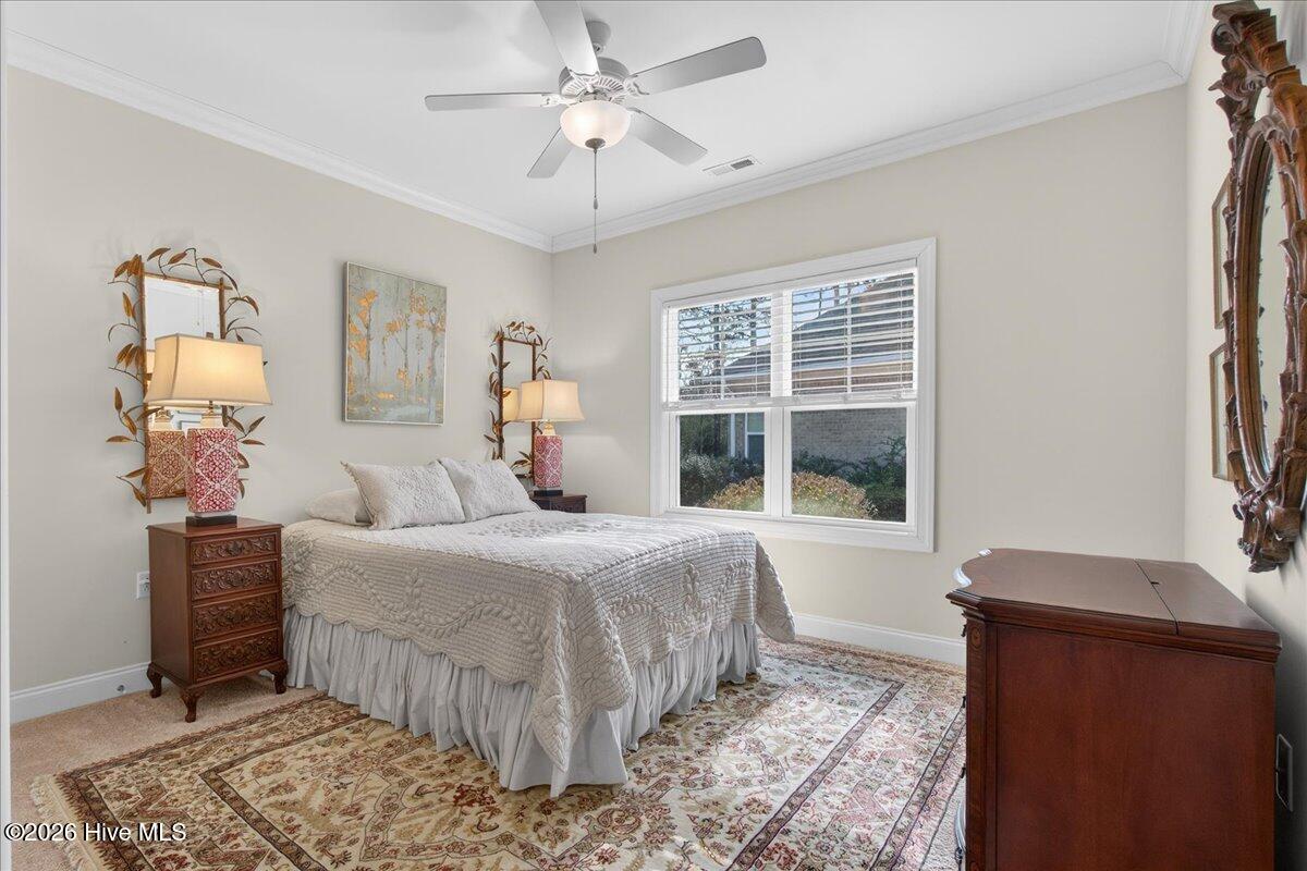 100556753 | Photo 19