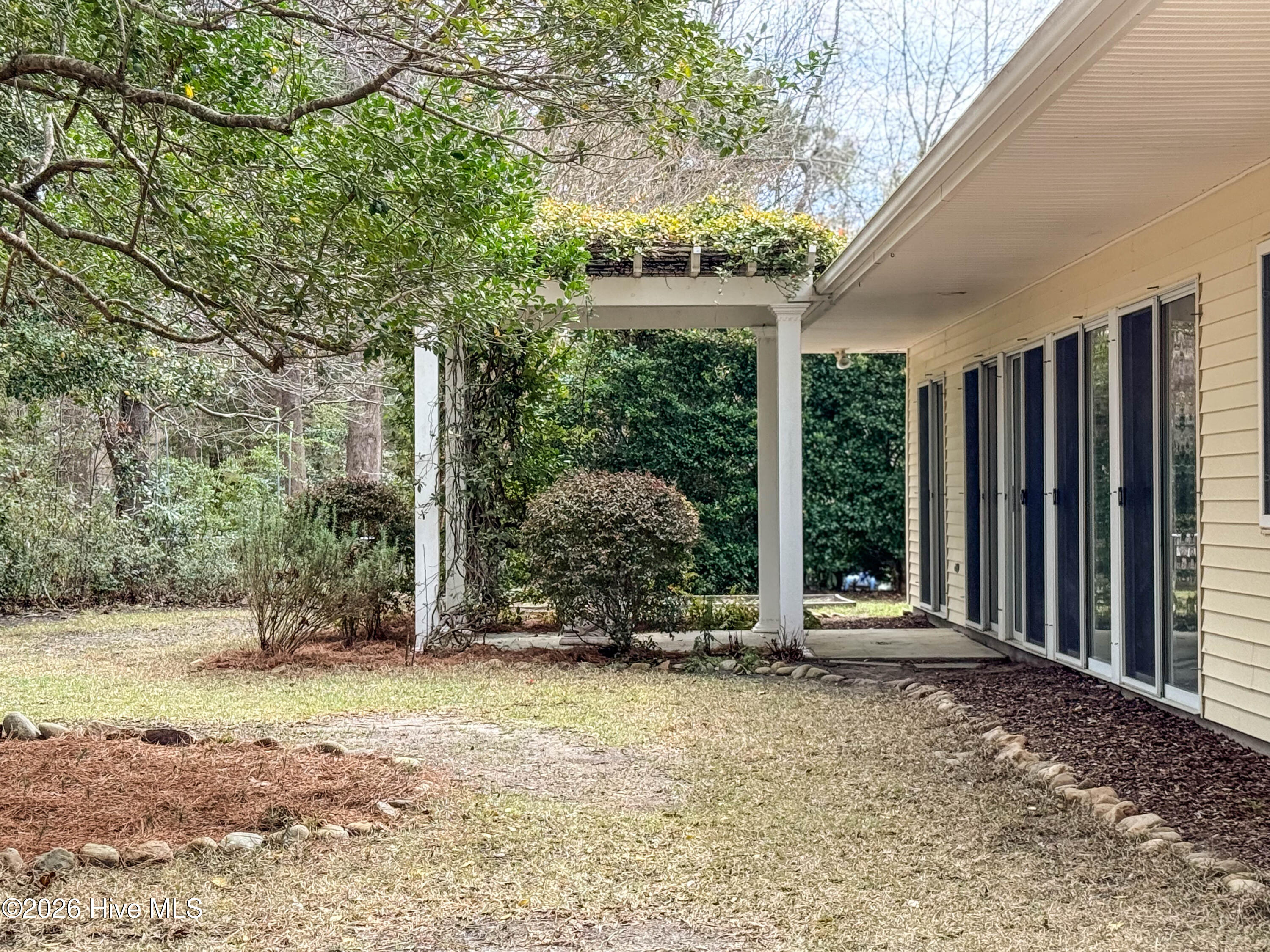 100562741 | Photo 50