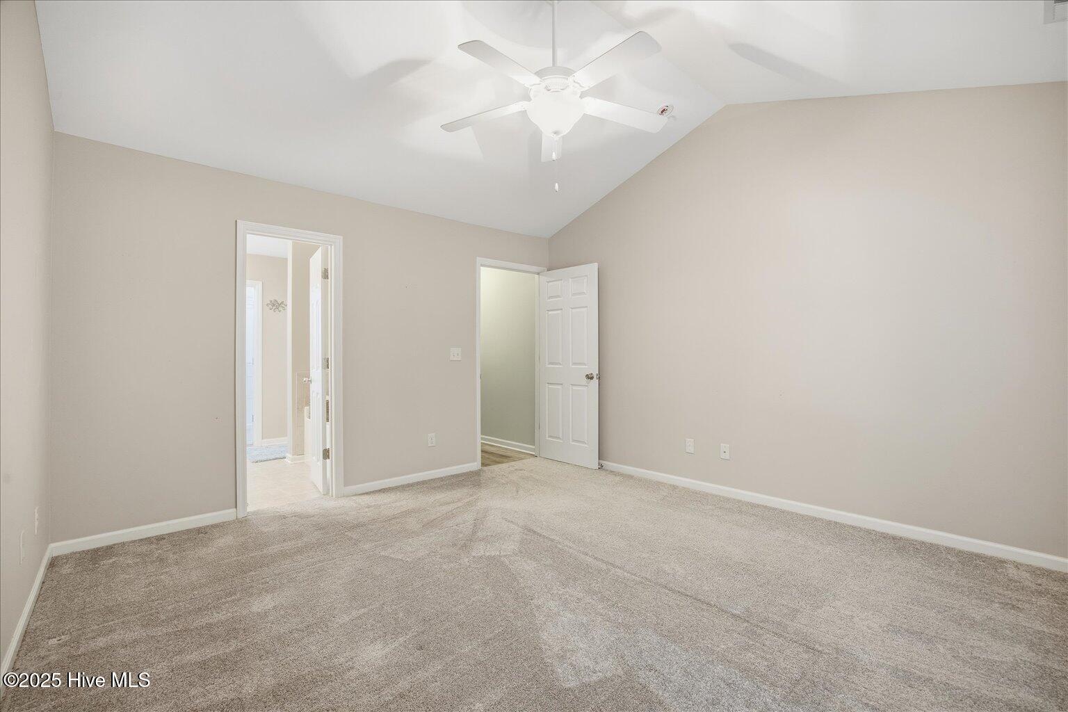 100543351 | Photo 31