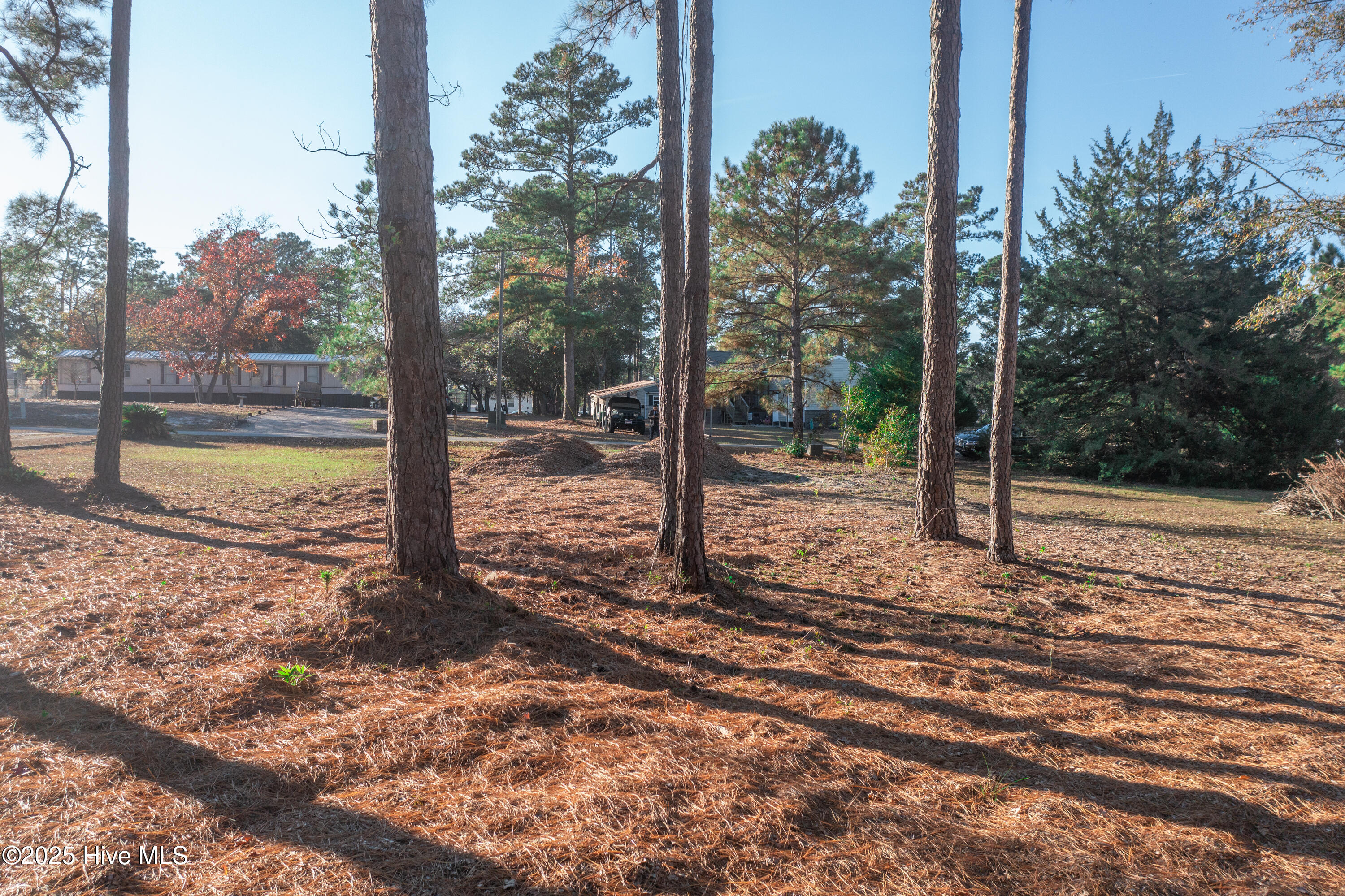 100543748 | Photo 19