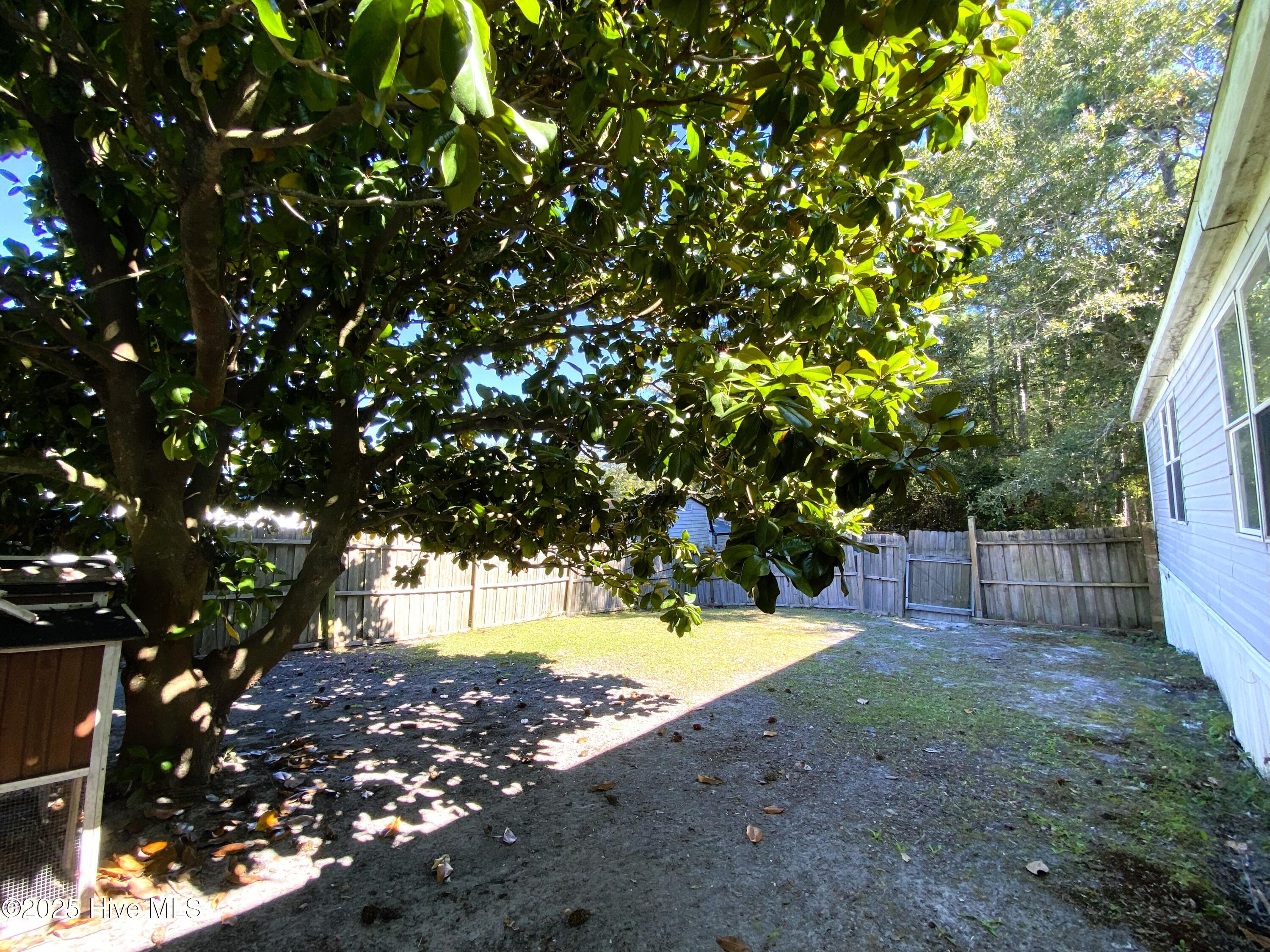 100537784 | Photo 19