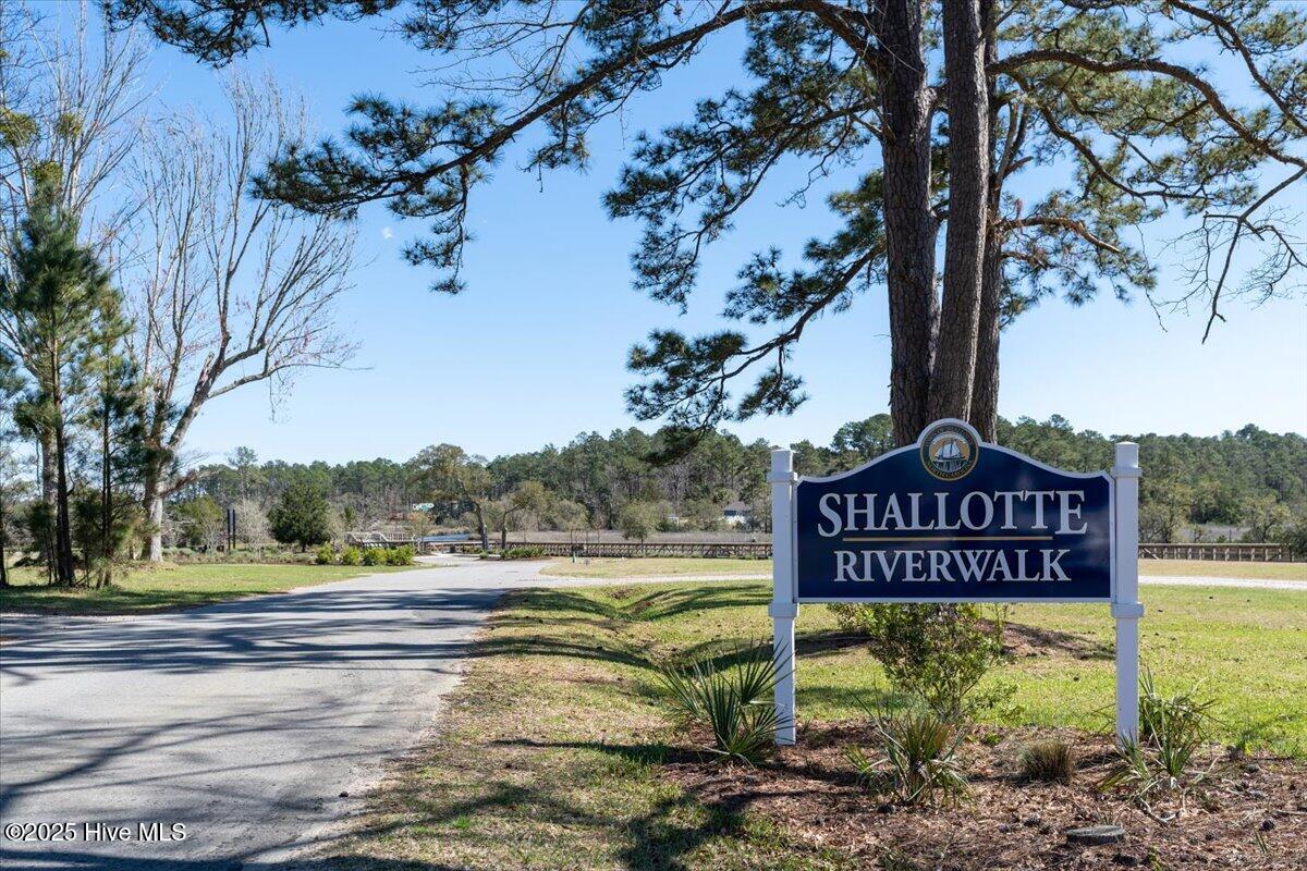 100538571 | Photo 38