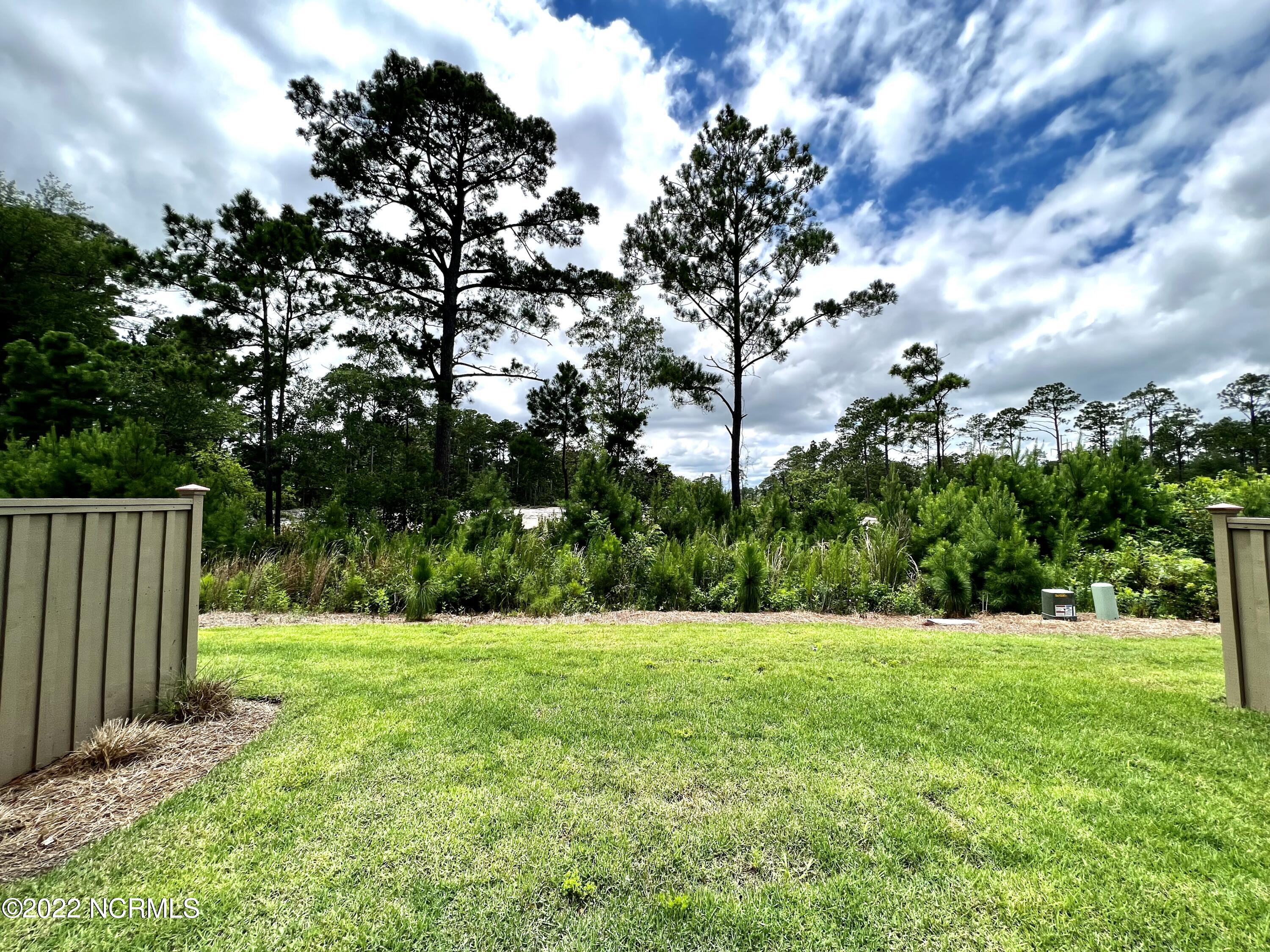 100558530 | Photo 15