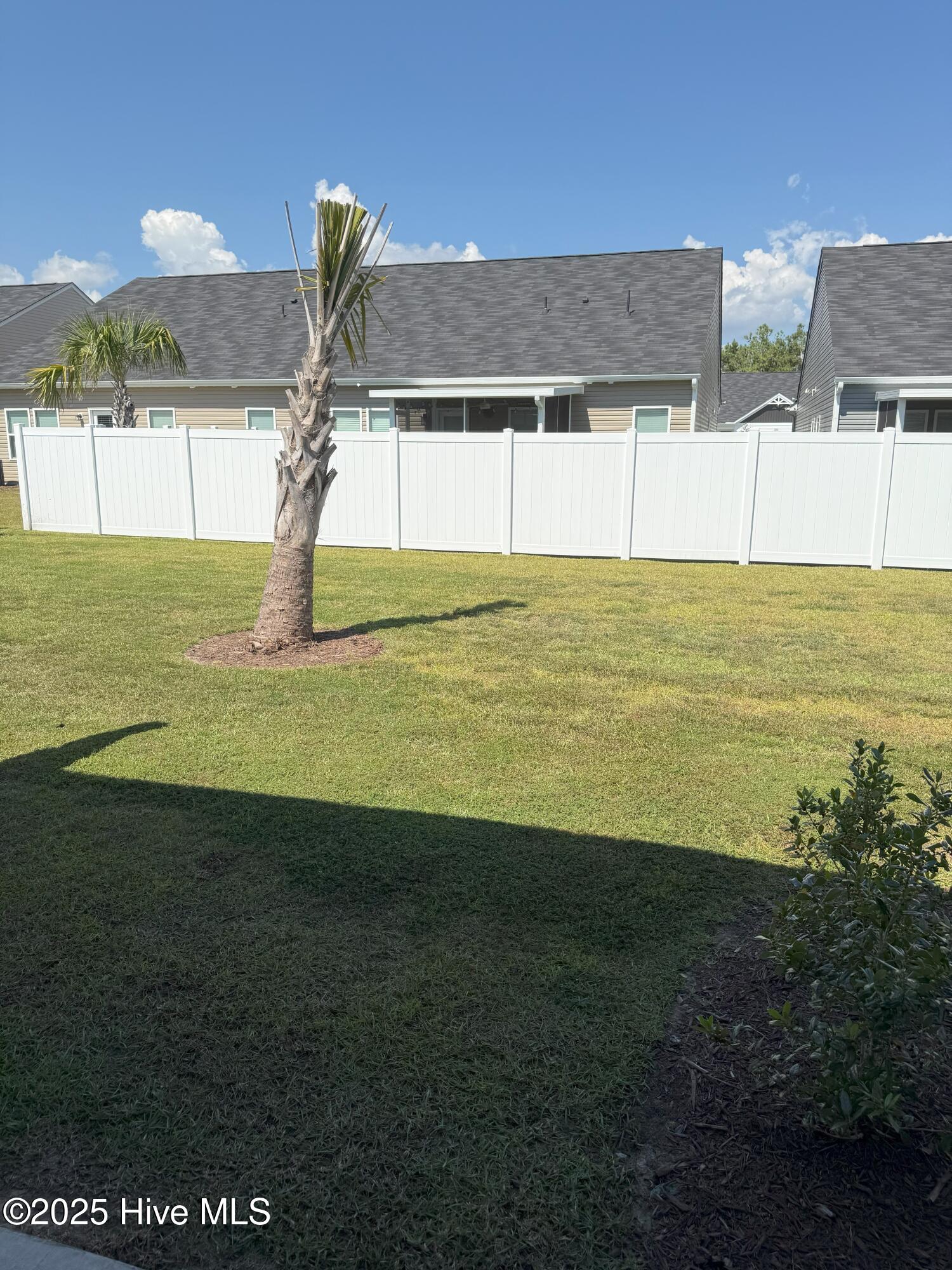 100531479 | Photo 18