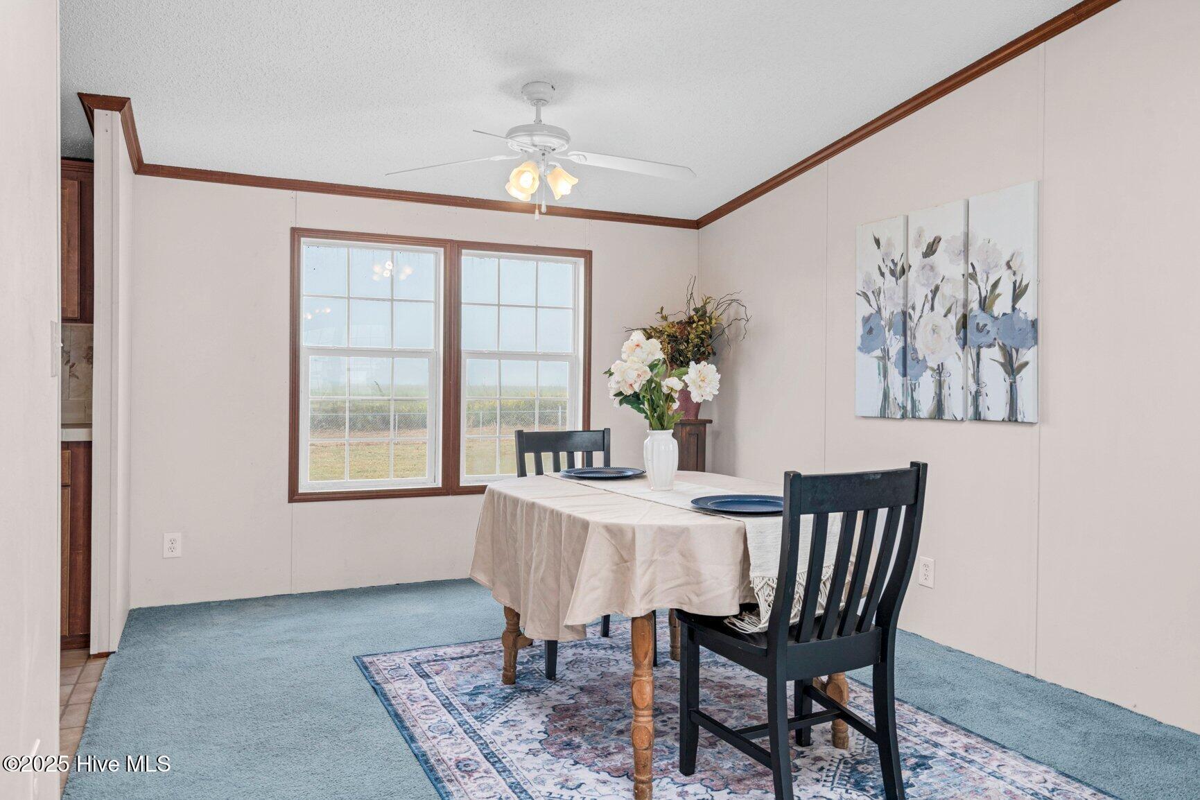 007-6769SpeightsChapelRoad-Whitakers-NC-