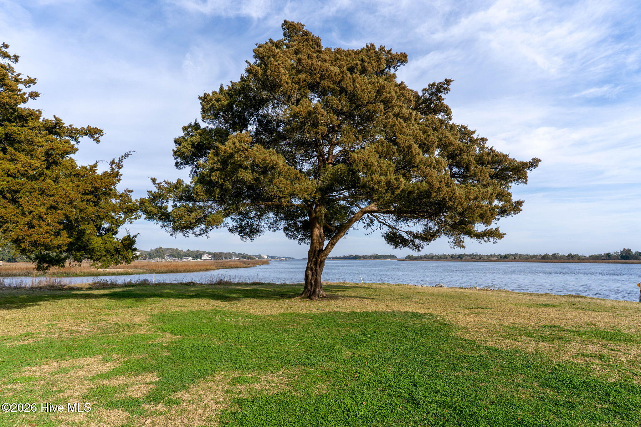 100564672 | Photo 52