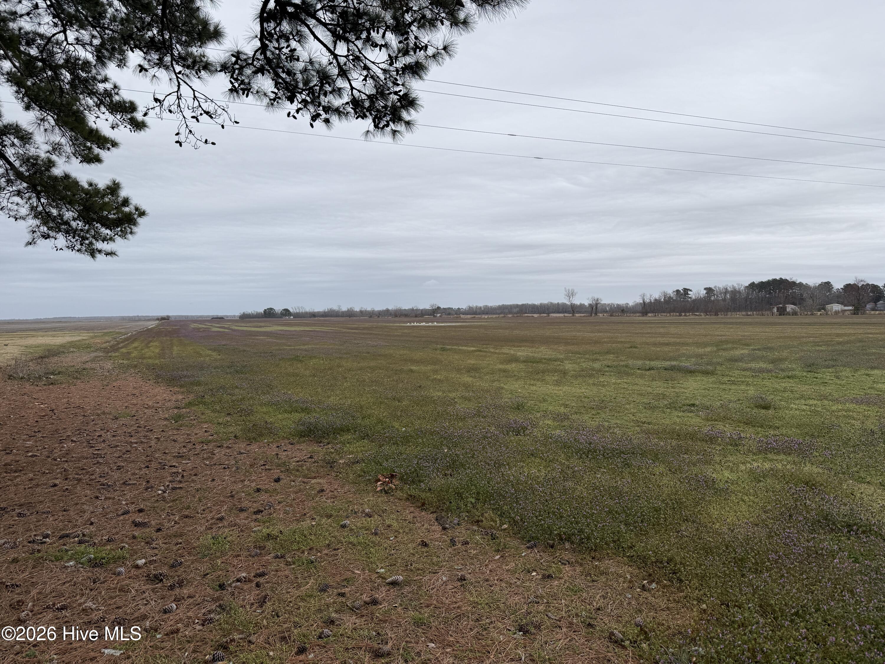 Homes for sale in Pantego, NC | 0 Nc 99, Pantego, NC 27860 | MLS# 100555818