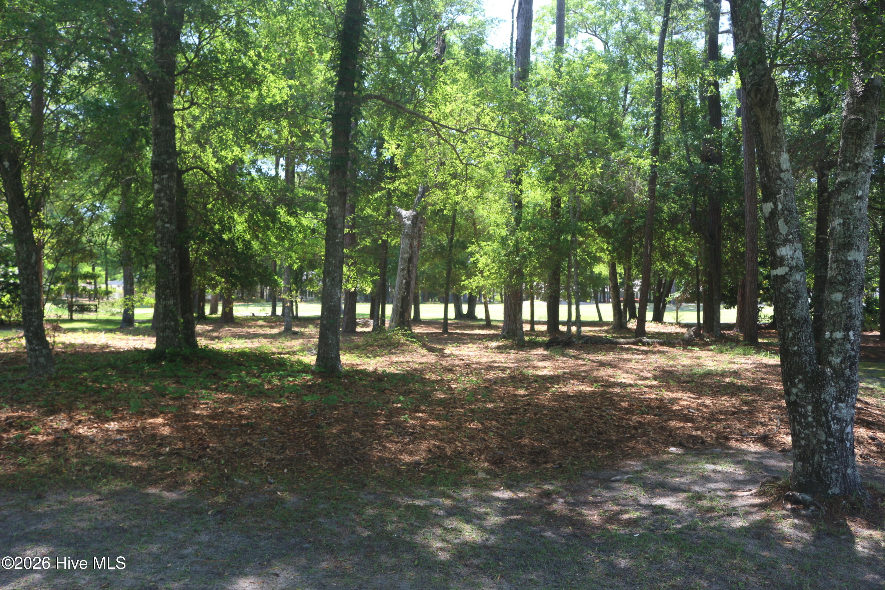 100566261 | Photo 10