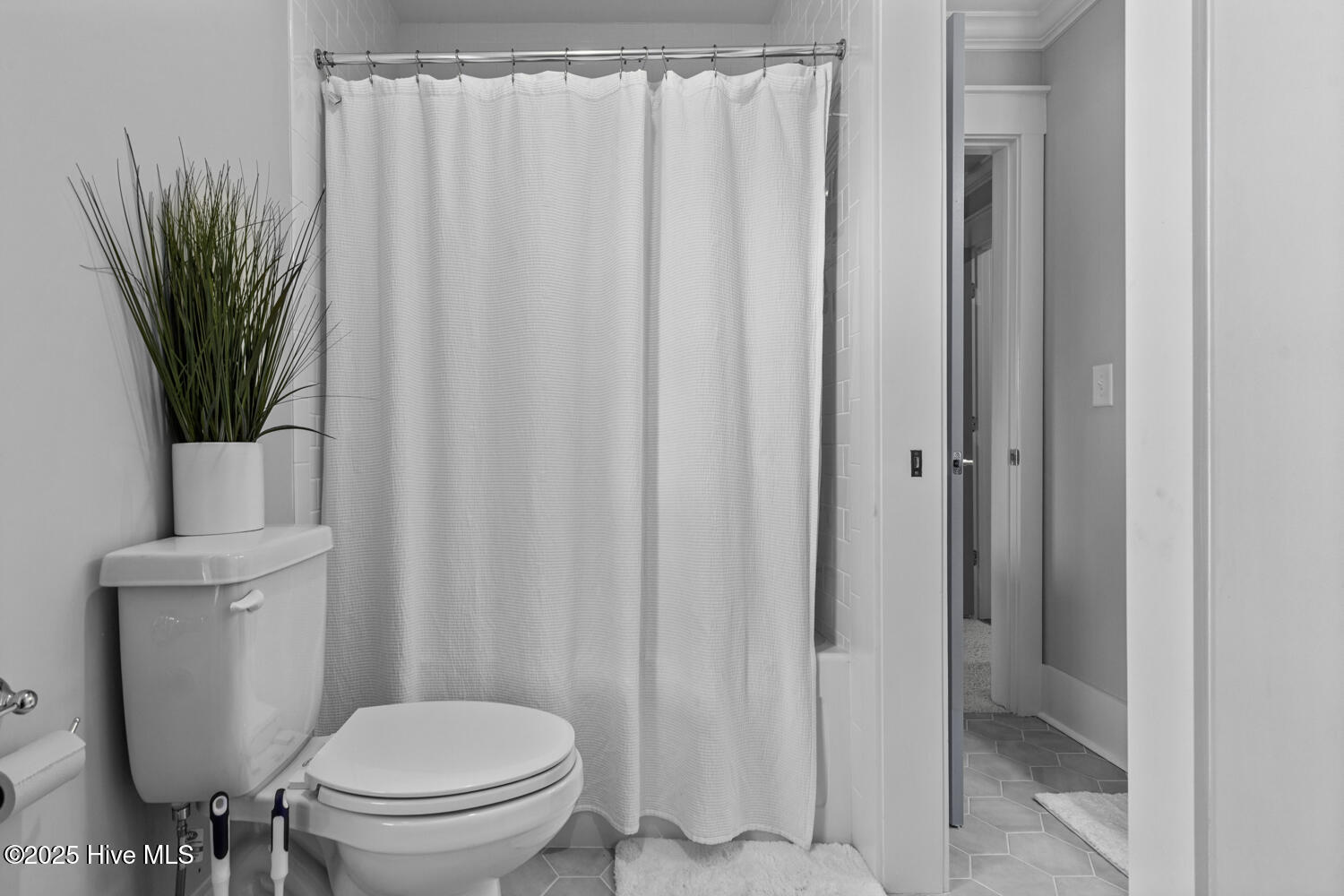 100545197 | Photo 56