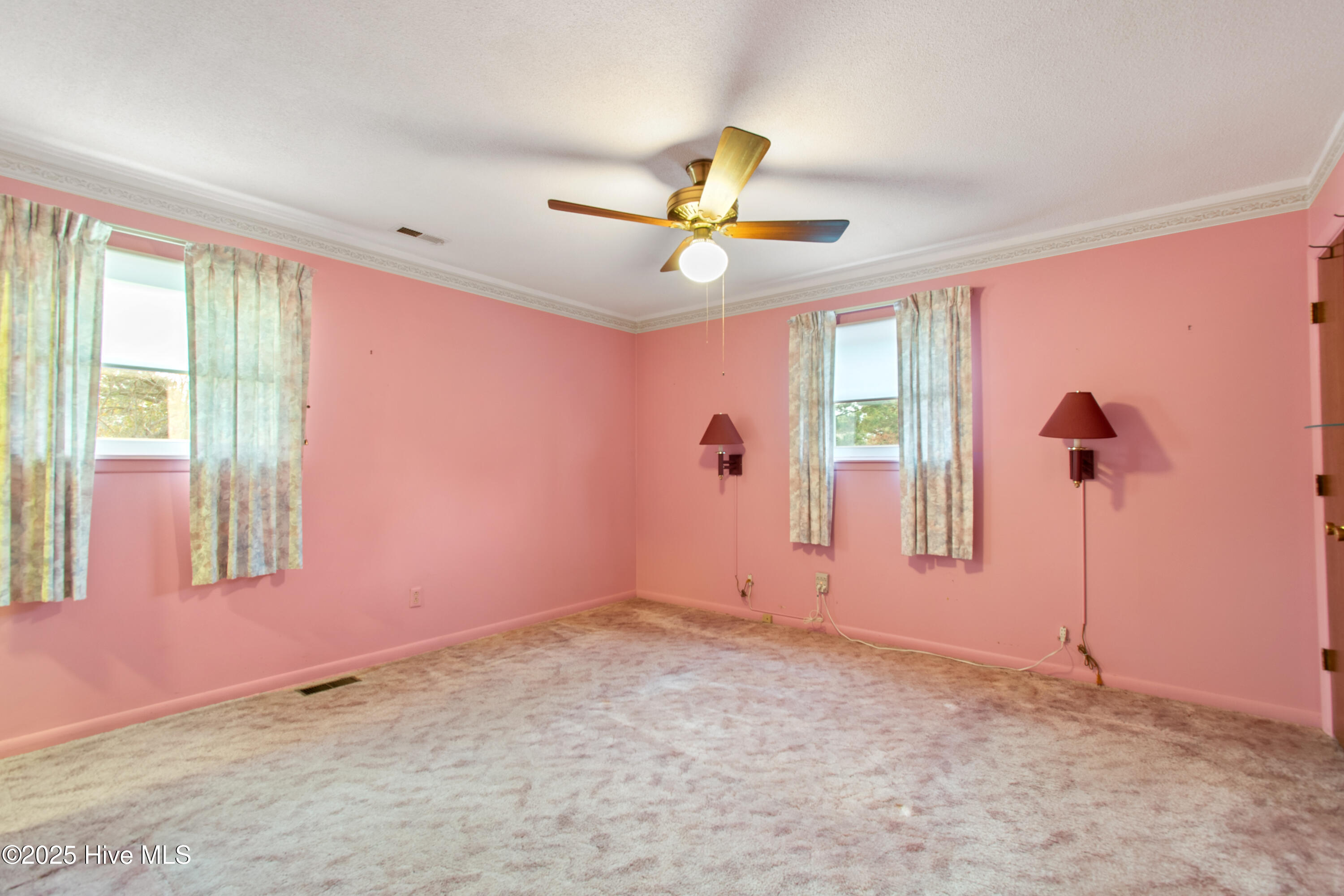 100538072 | Photo 19