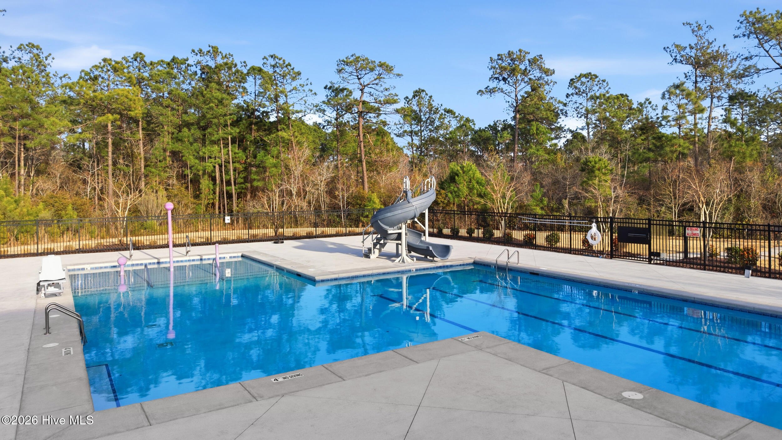 100557443 | Photo 58