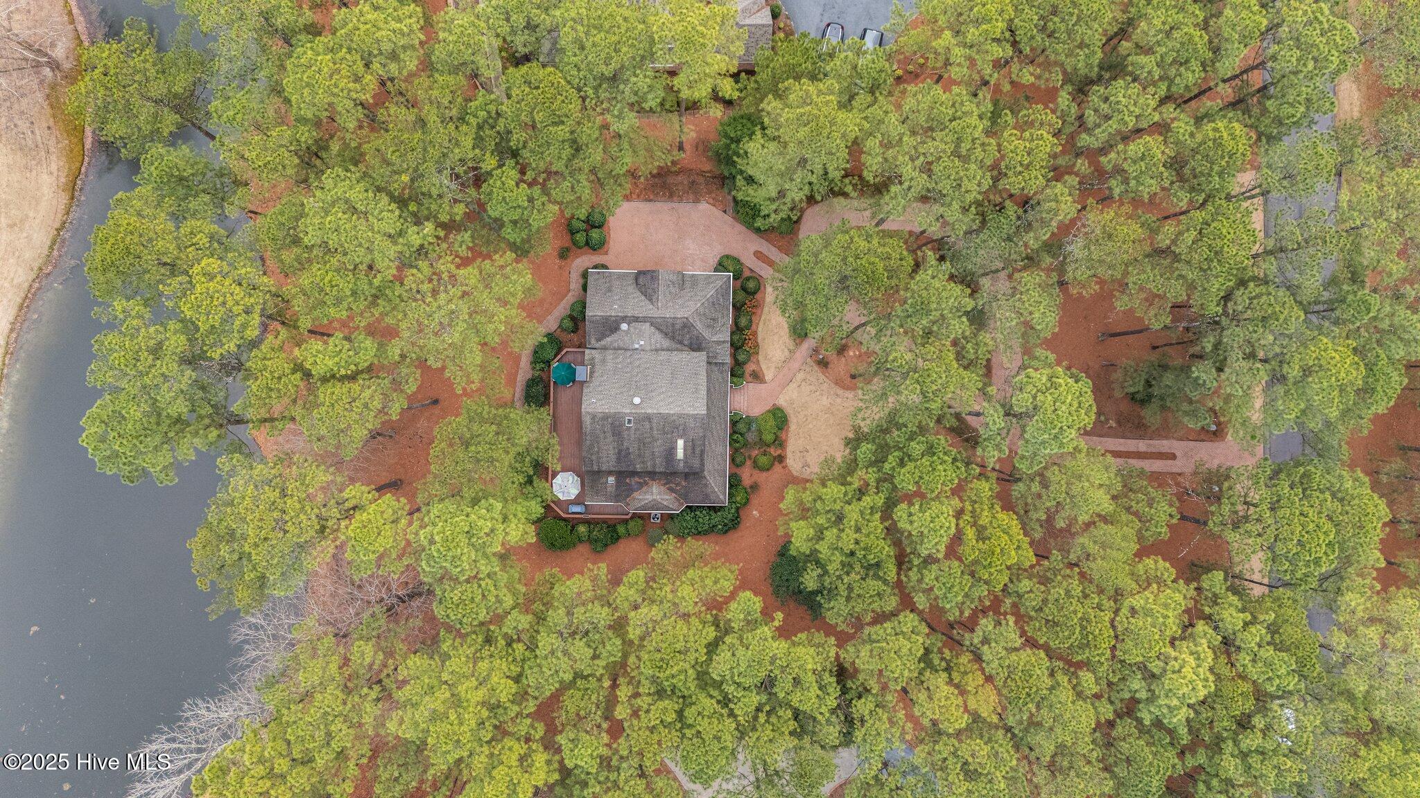 Private oasis