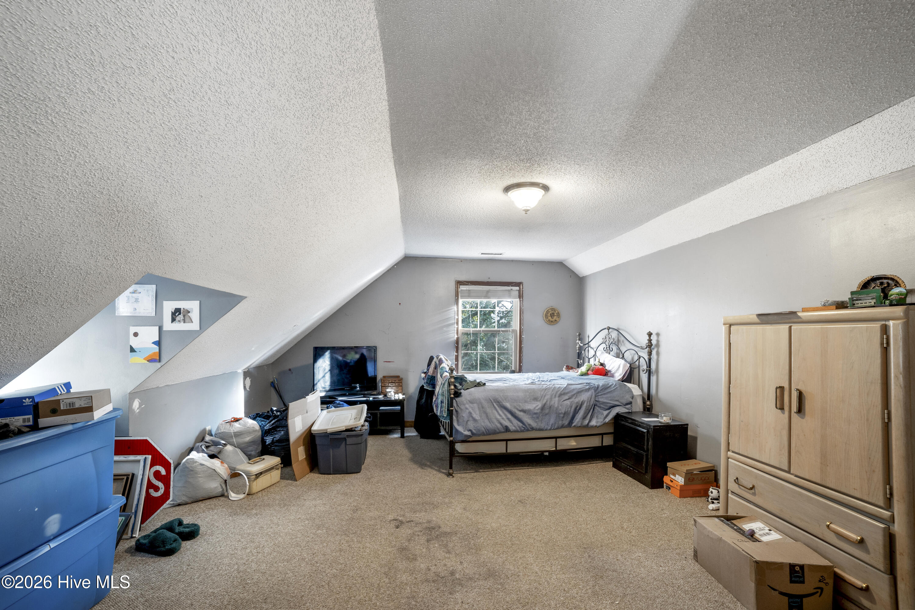 100541663 | Photo 21