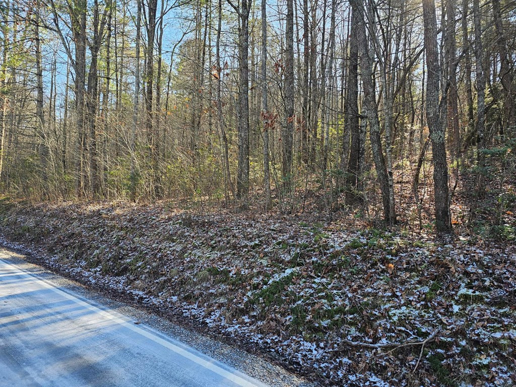Exterior photo of 0 Beaverdam Road, Murphy, NC 28906. MLS: 98509485