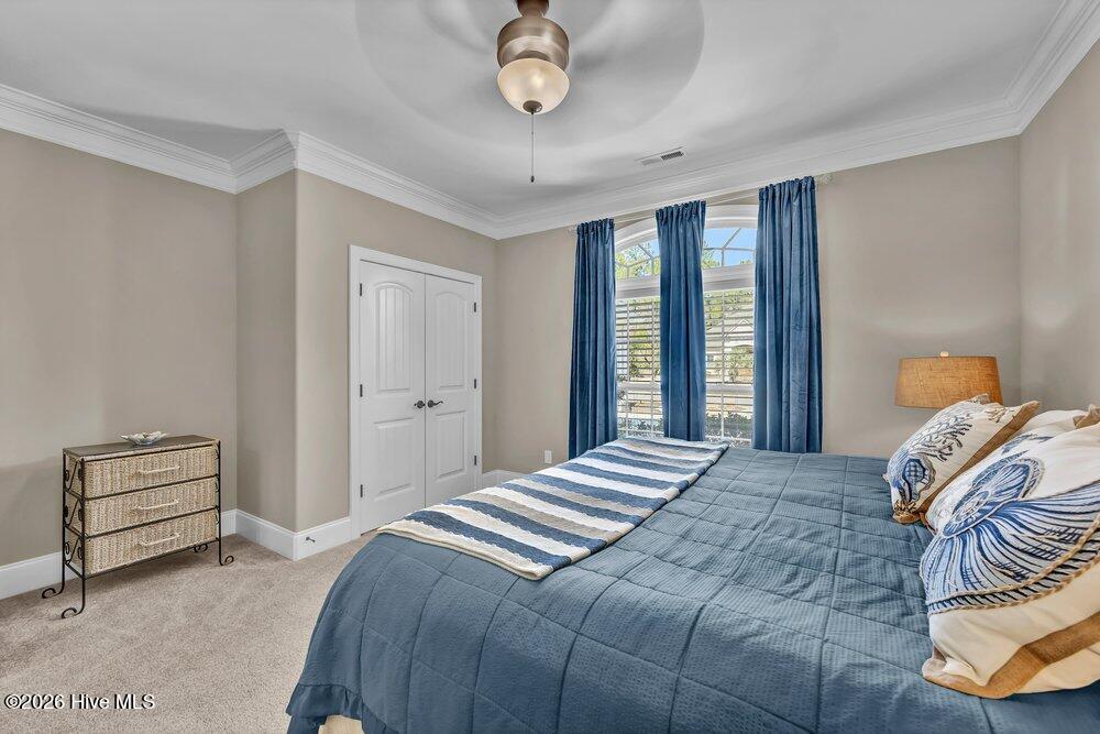 100553268 | Photo 22