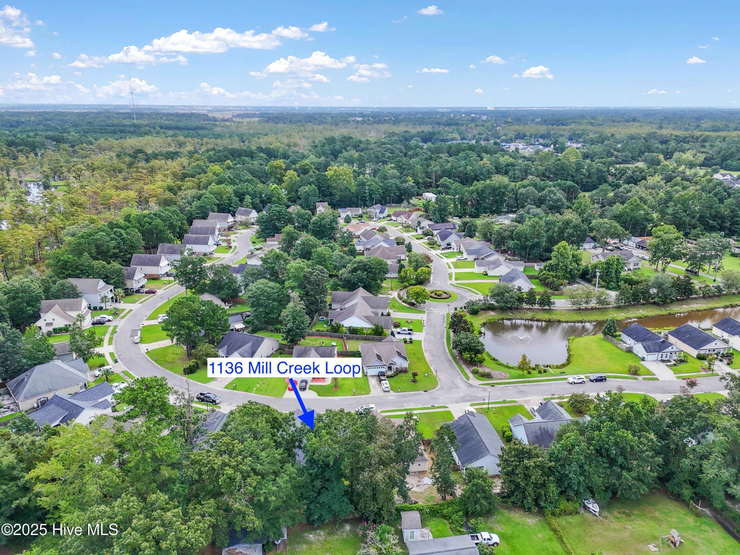 100527568 | Photo 43