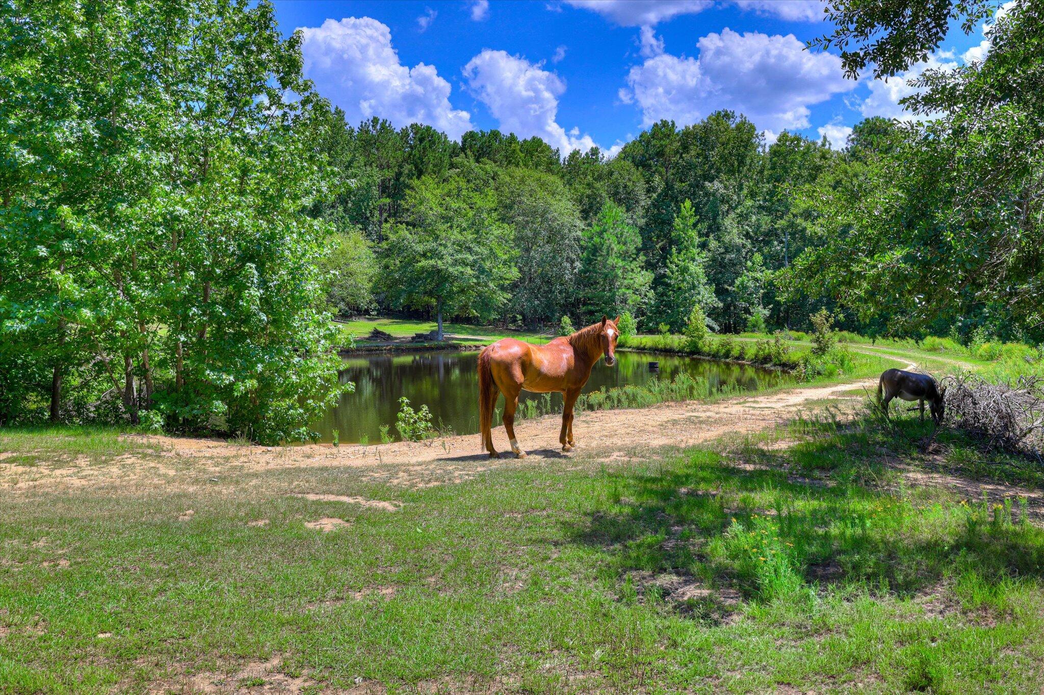 425 Whiskey Road, Grovetown, GA, 30813