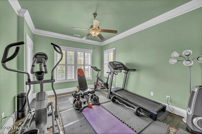 100528964 | Photo 30