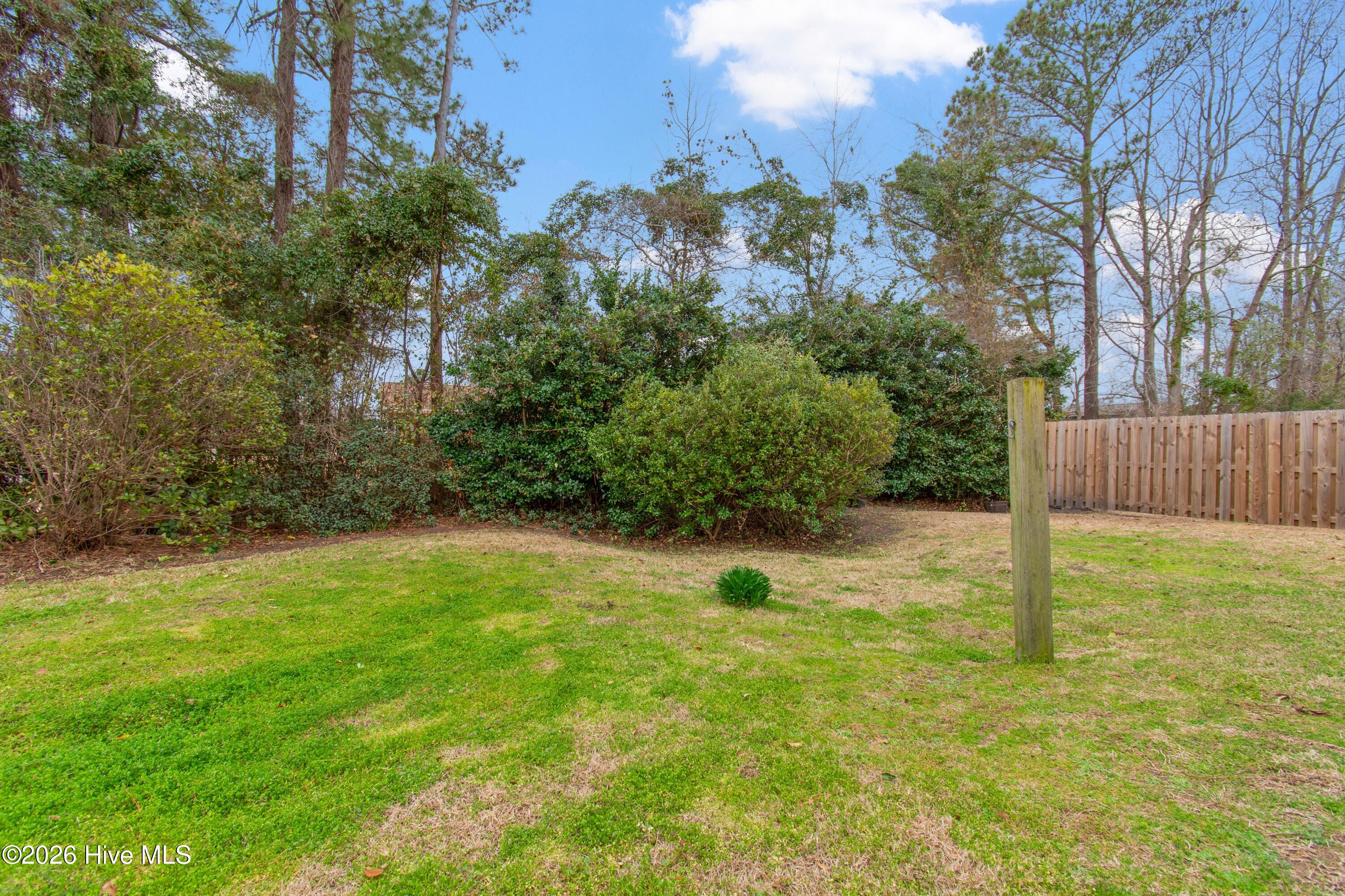 100558212 | Photo 22