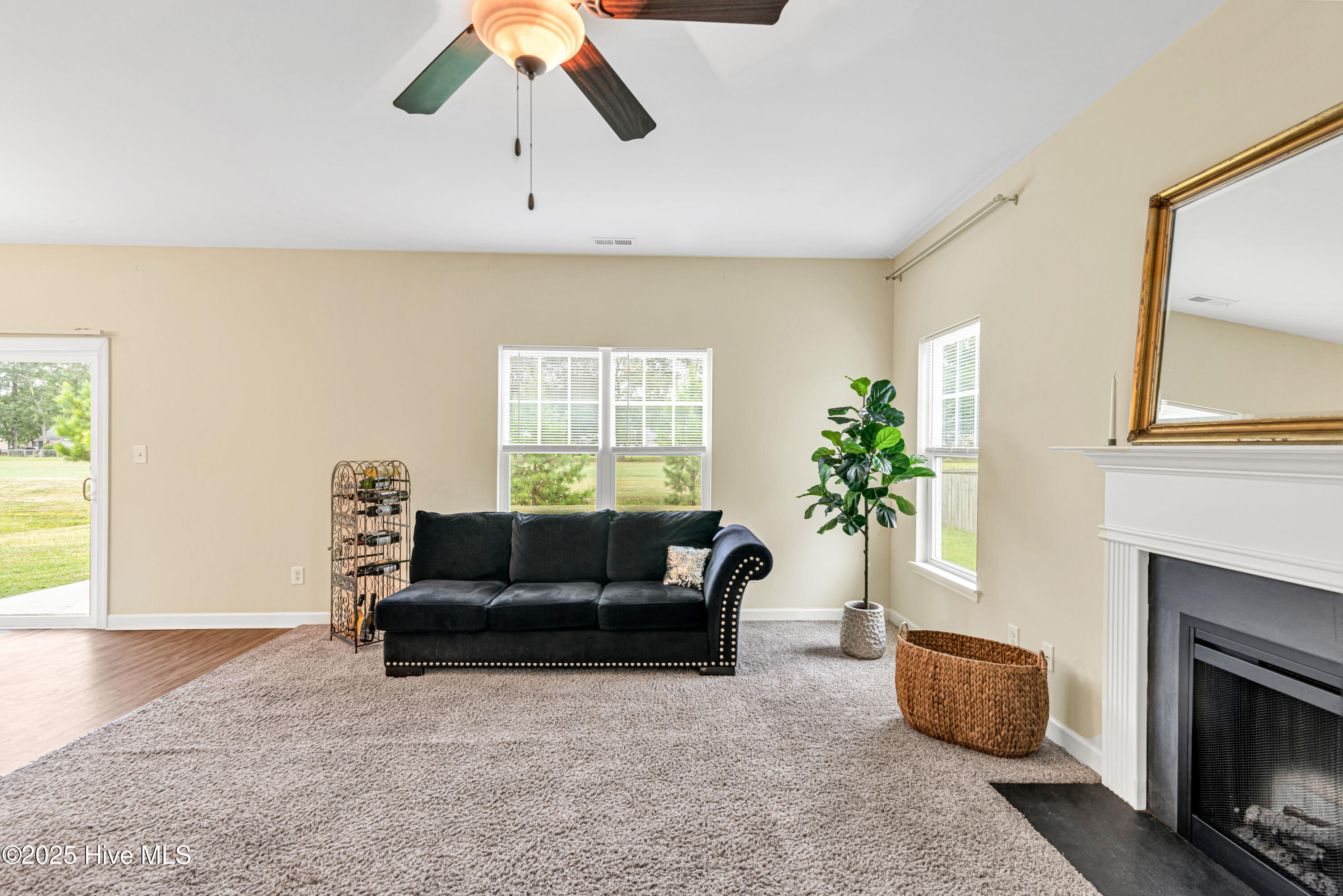 100556038 | Photo 21