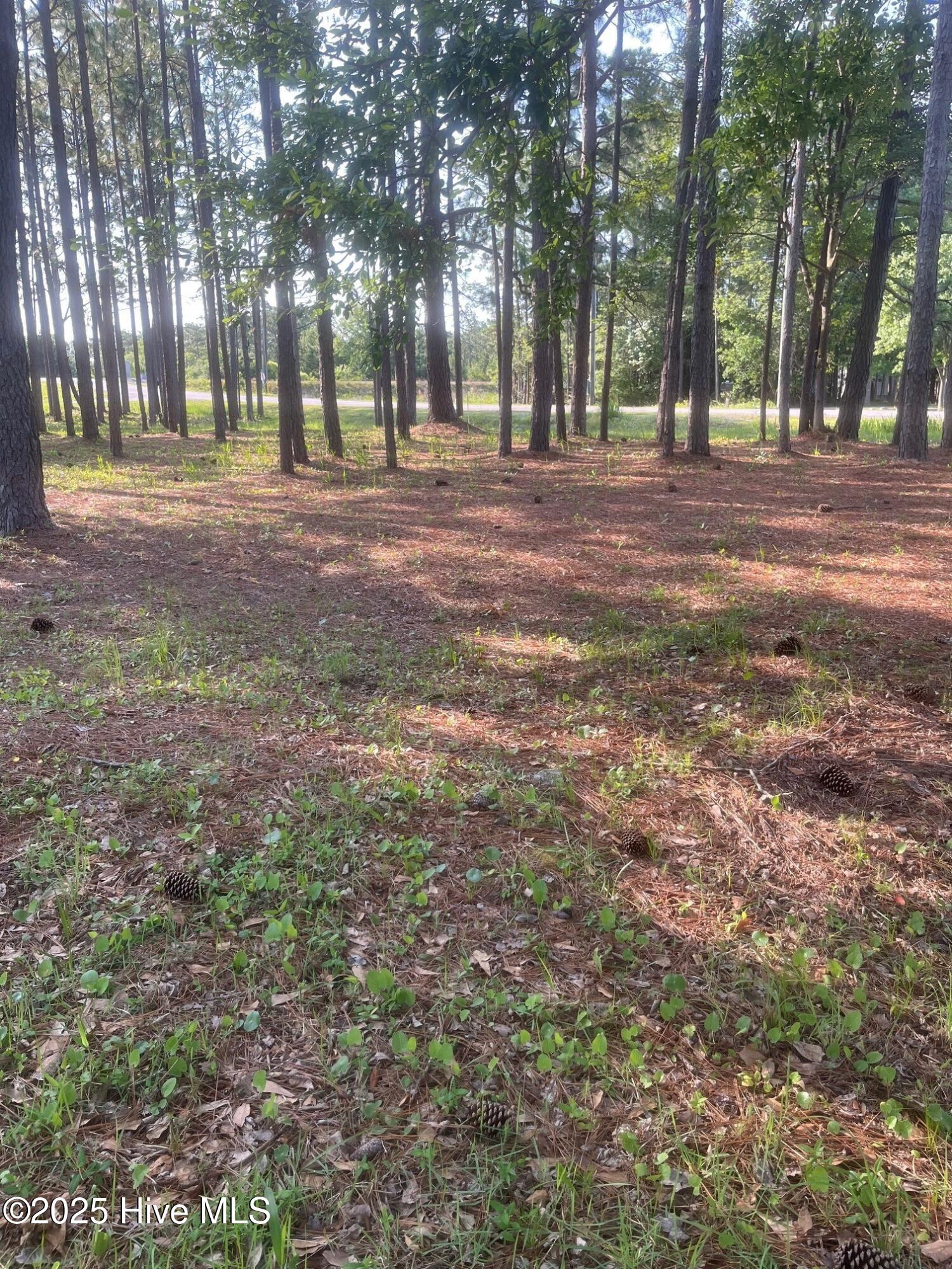 100512756 | Photo 57