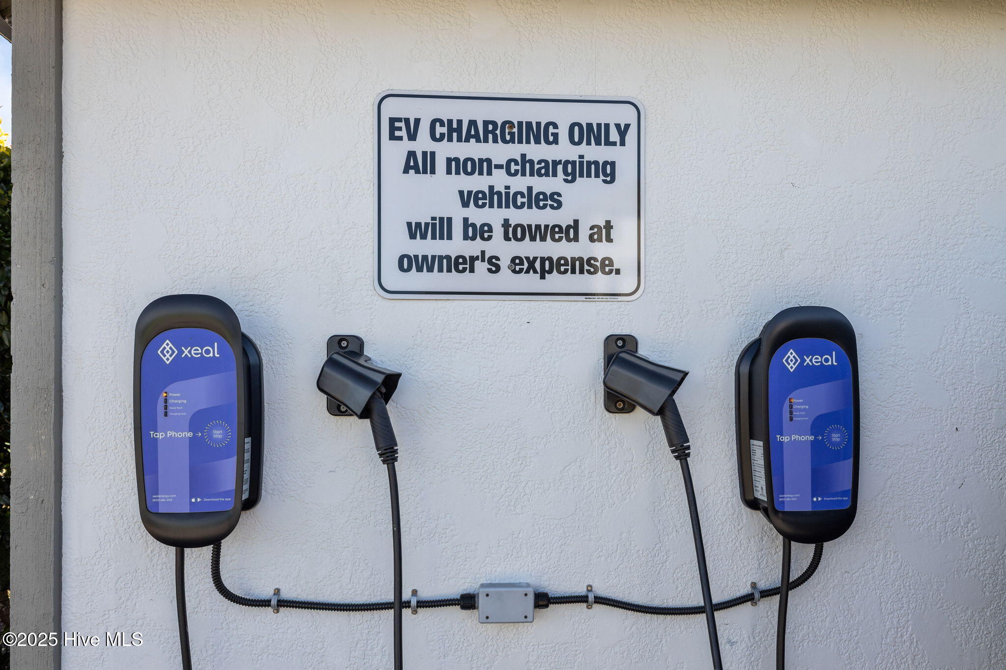 100558494 | Photo 26