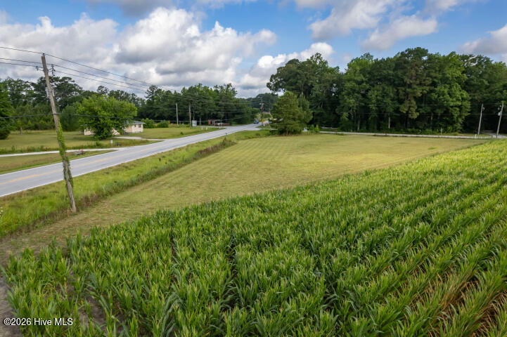 0 Alligator Loop Road,Merritt