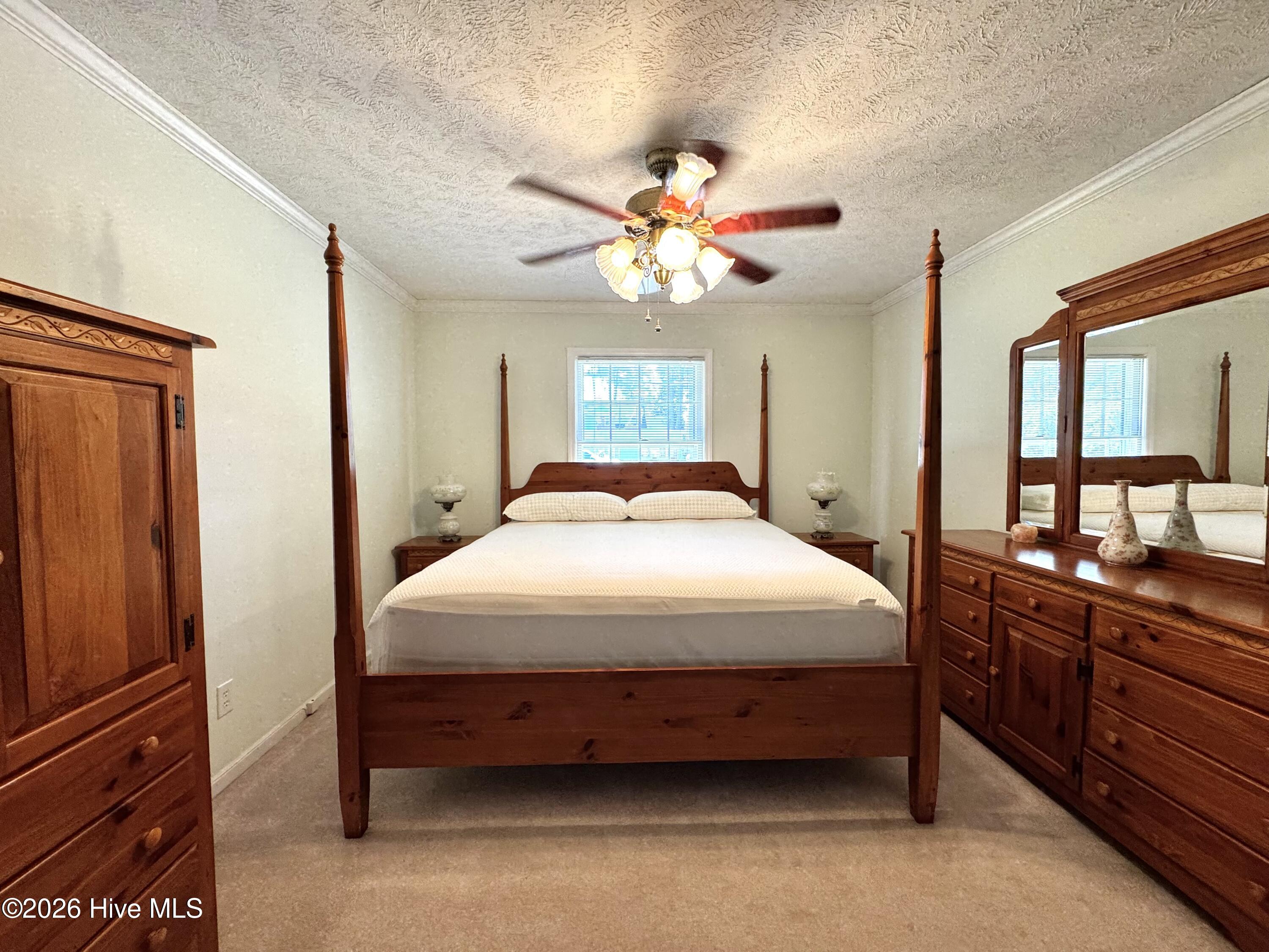 100562986 | Photo 28