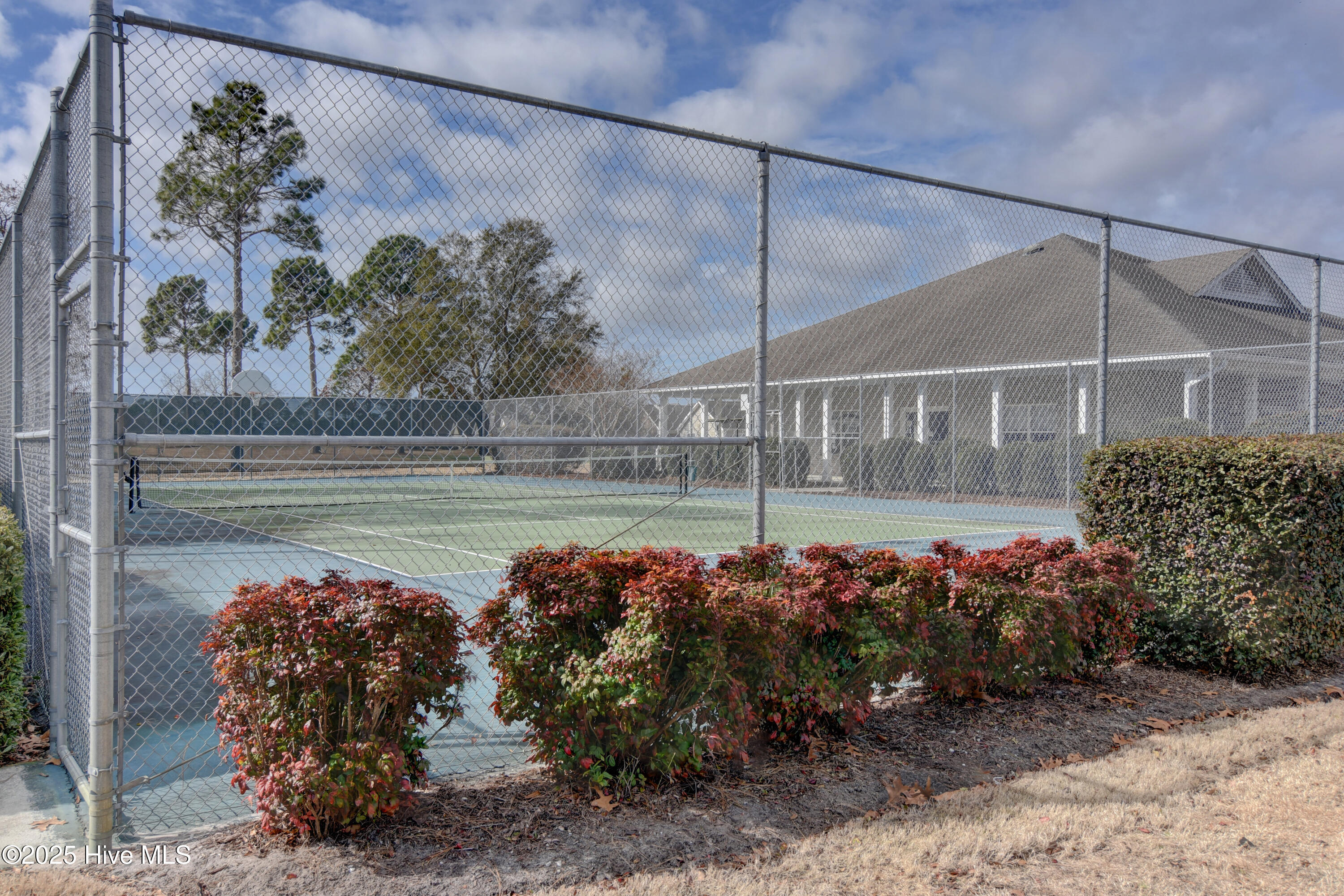 100534065 | Photo 40