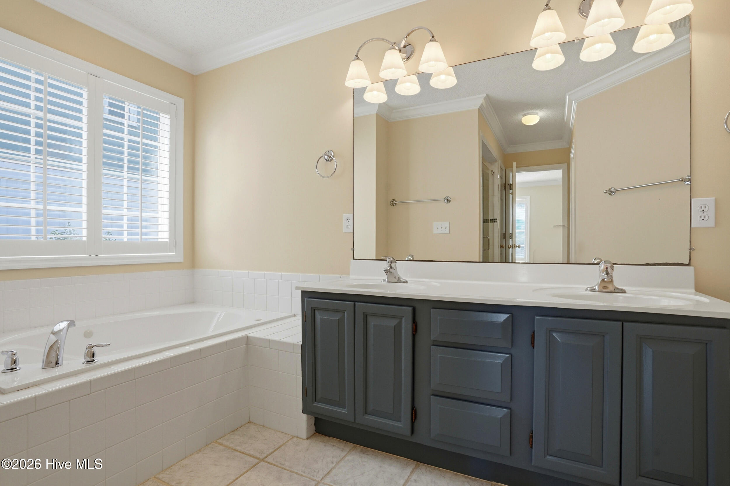 100559989 | Photo 23