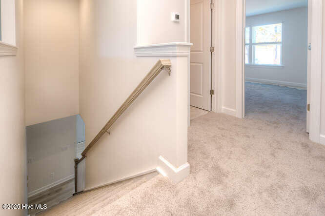 100540645 | Photo 29