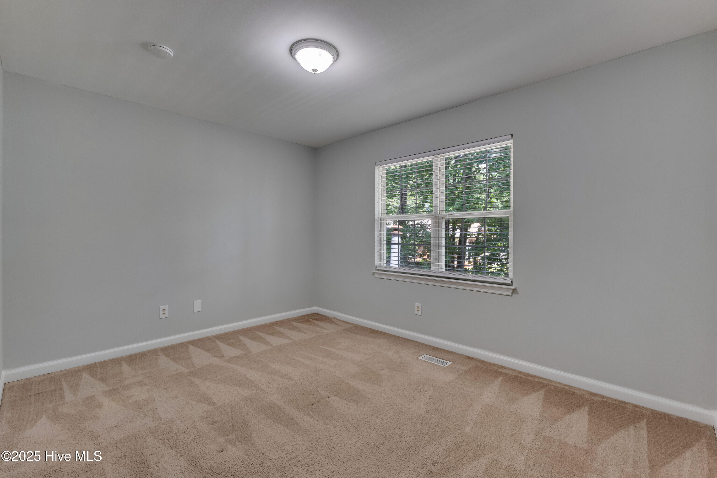 100514593 | Photo 21