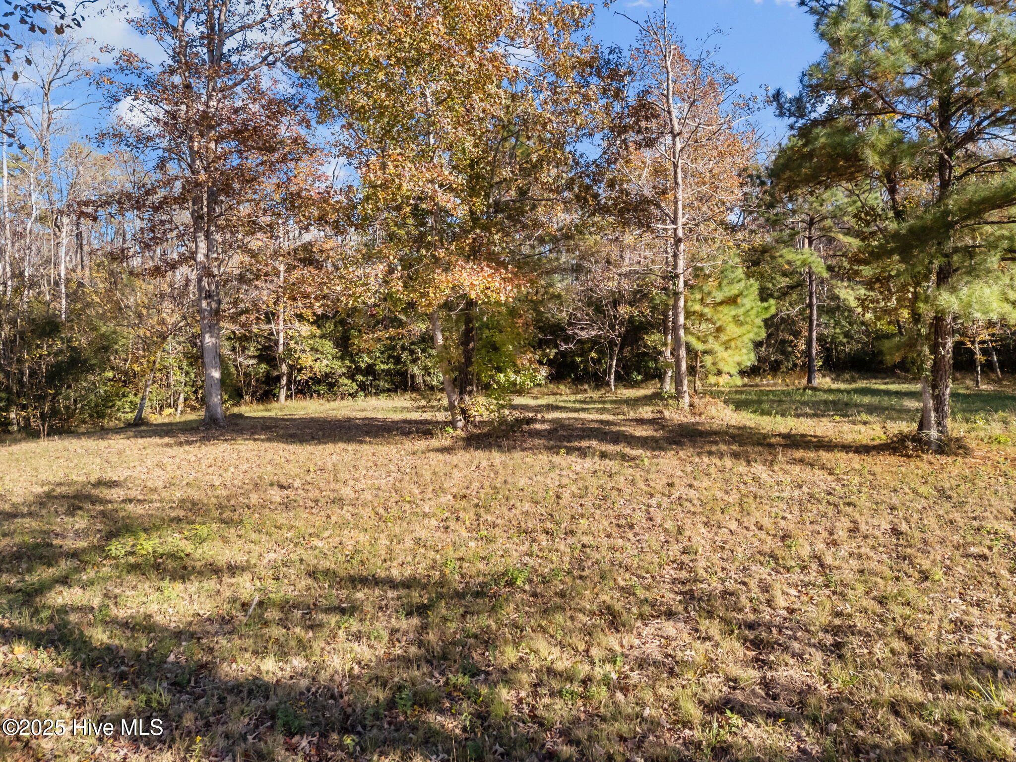 100540368 | Photo 10