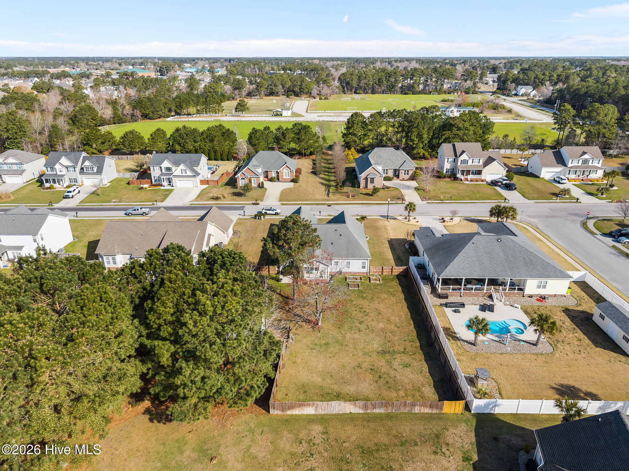 100558969 | Photo 15