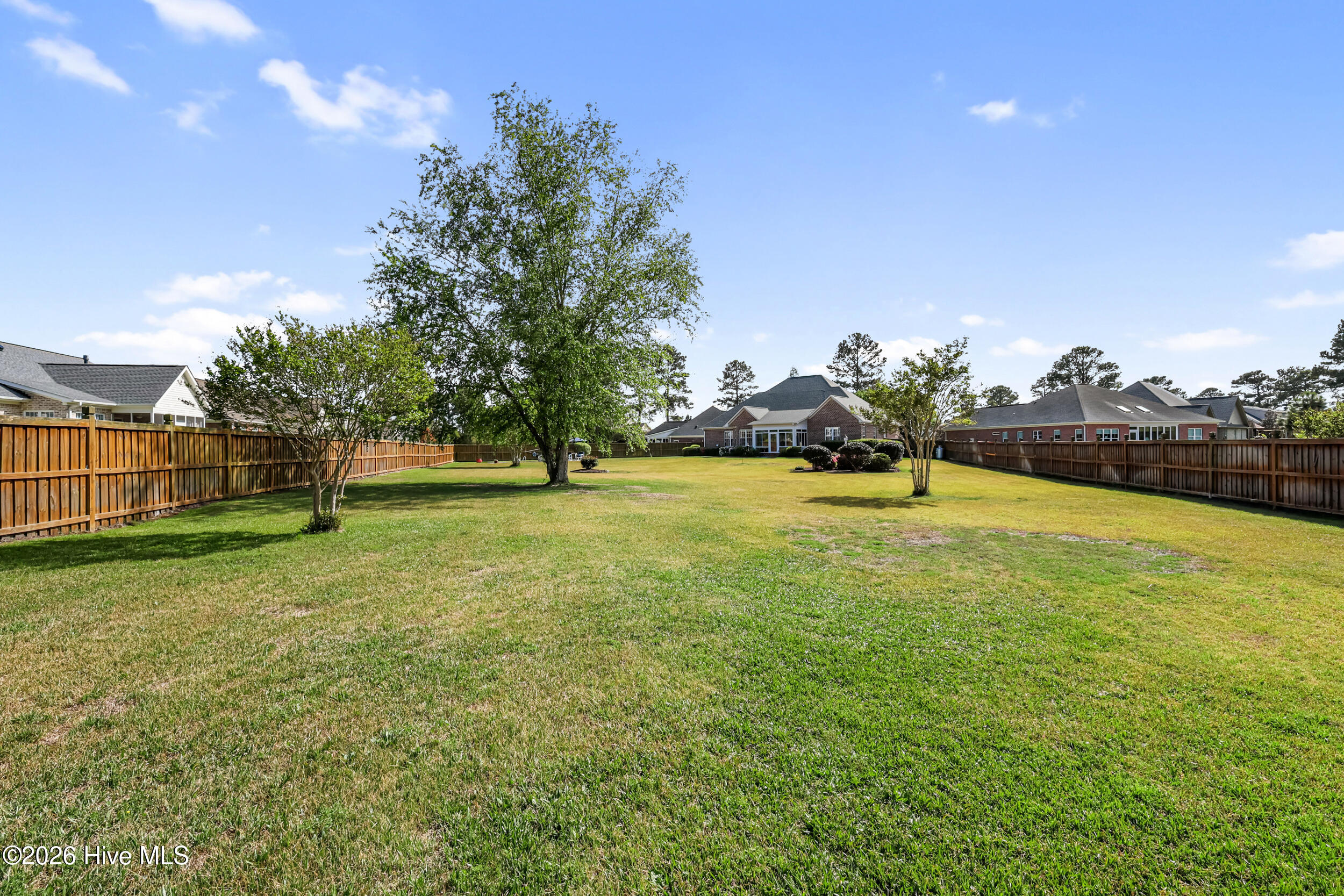 100565285 | Photo 45